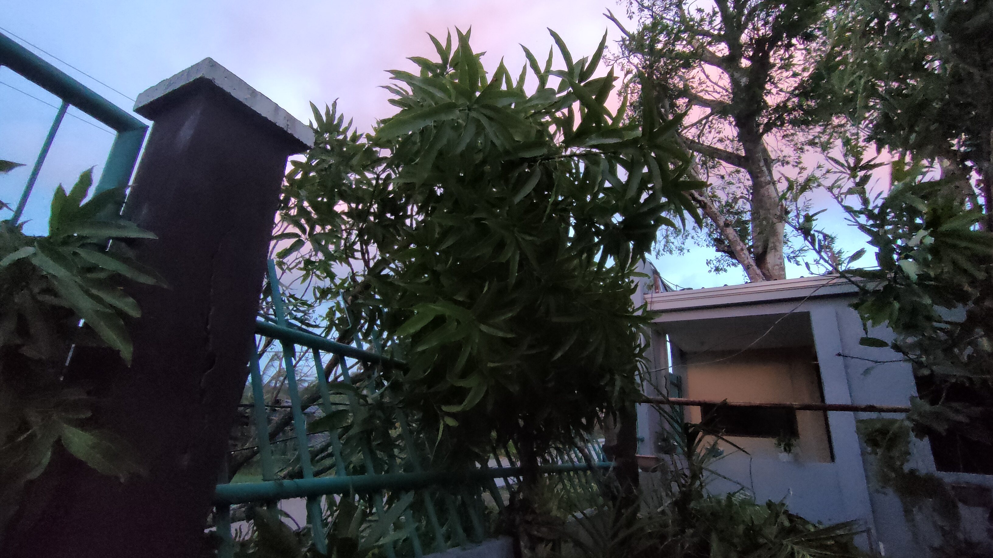 IMG20211217055204.jpg