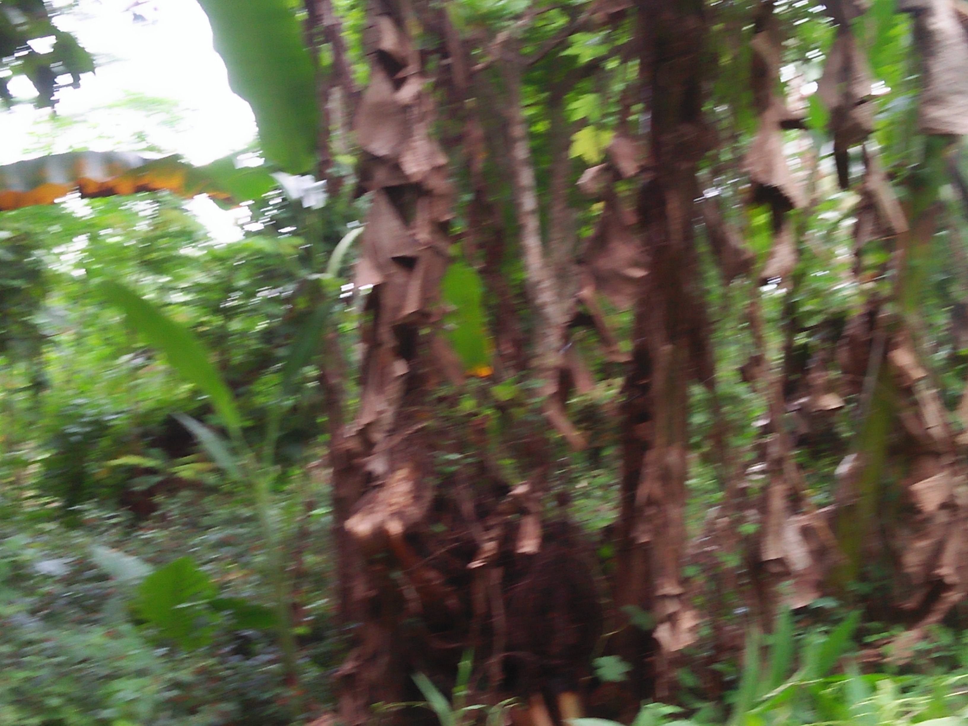 IMG20211214155724.jpg