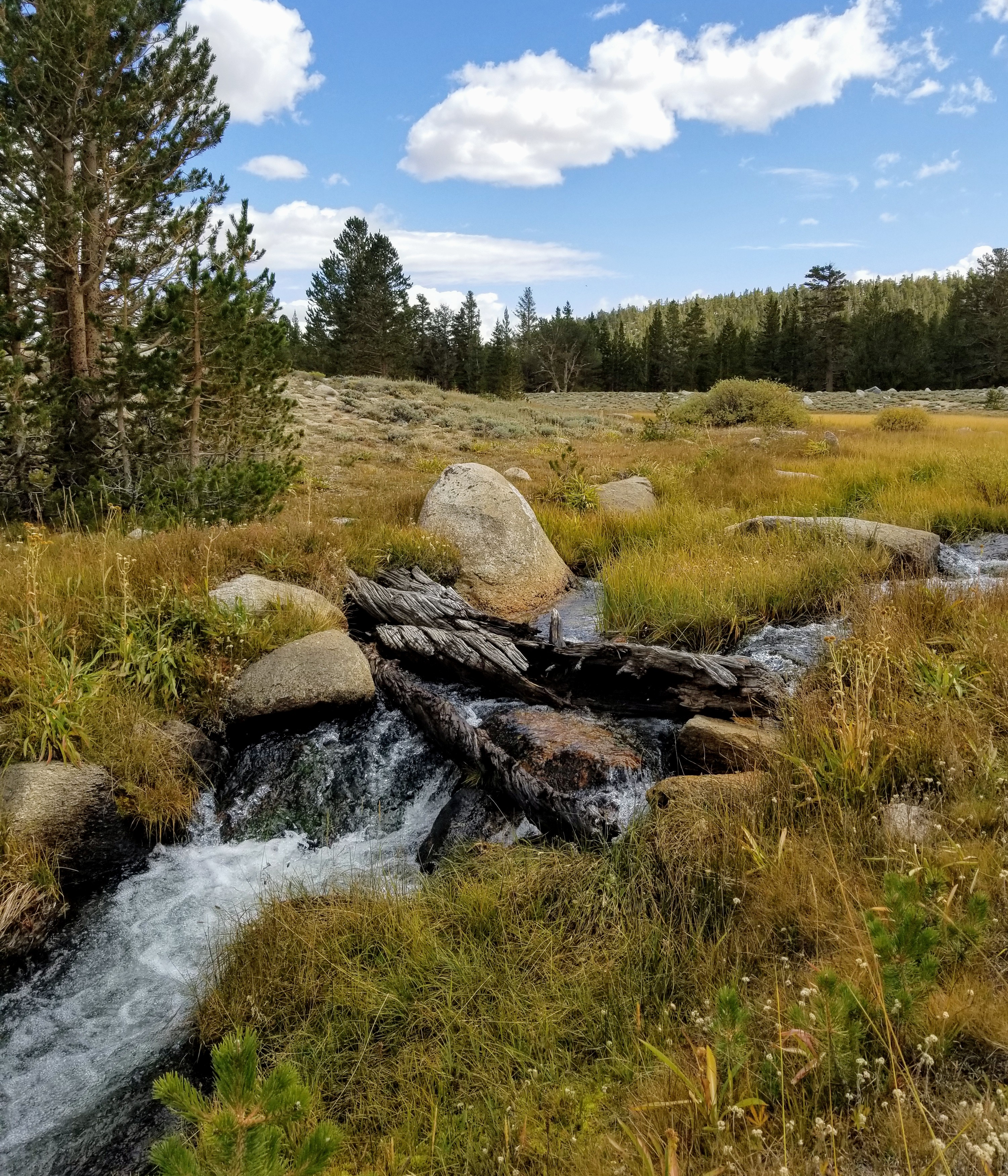 20190923_131549.jpg