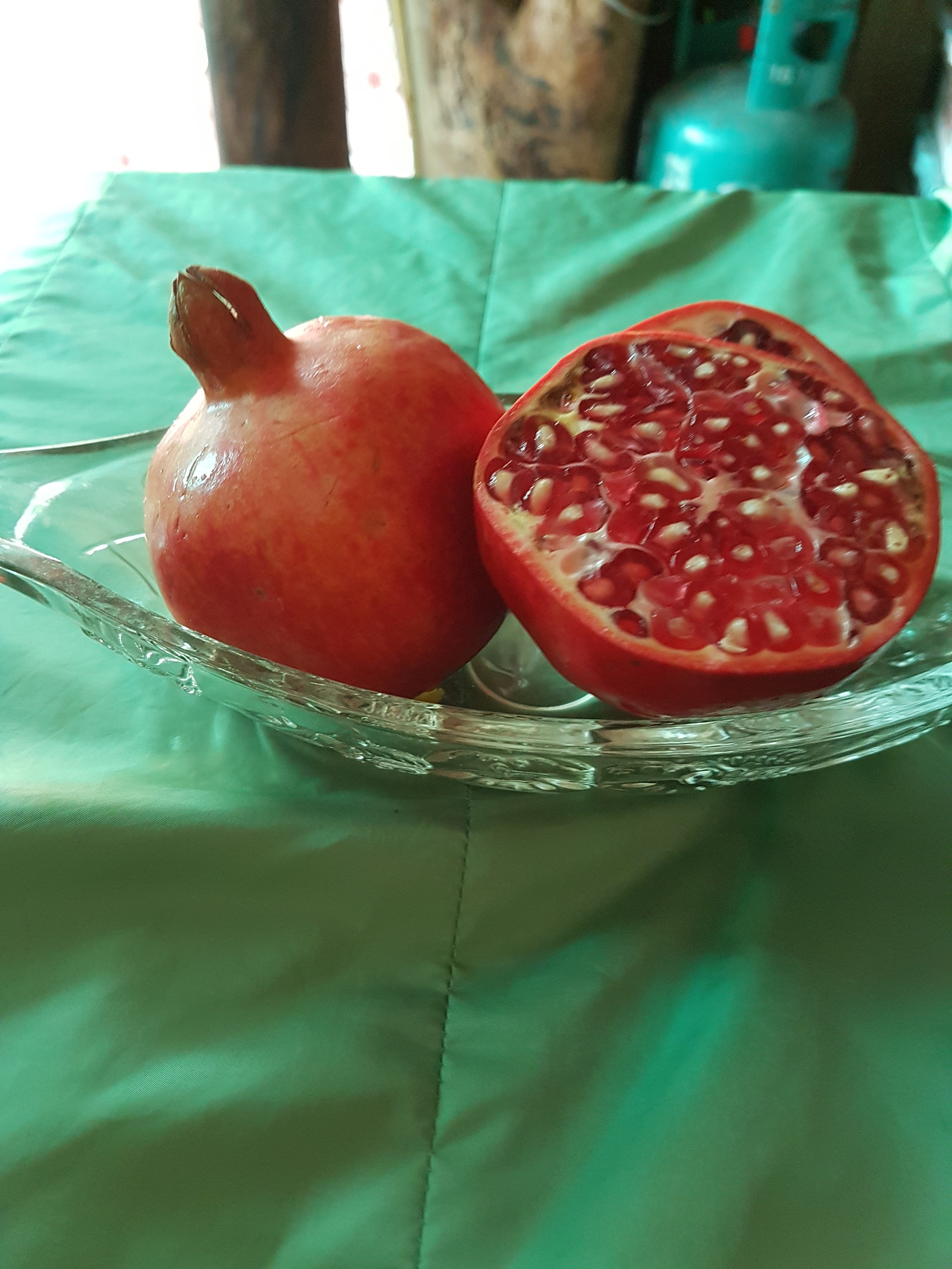 20170817_124232.jpg