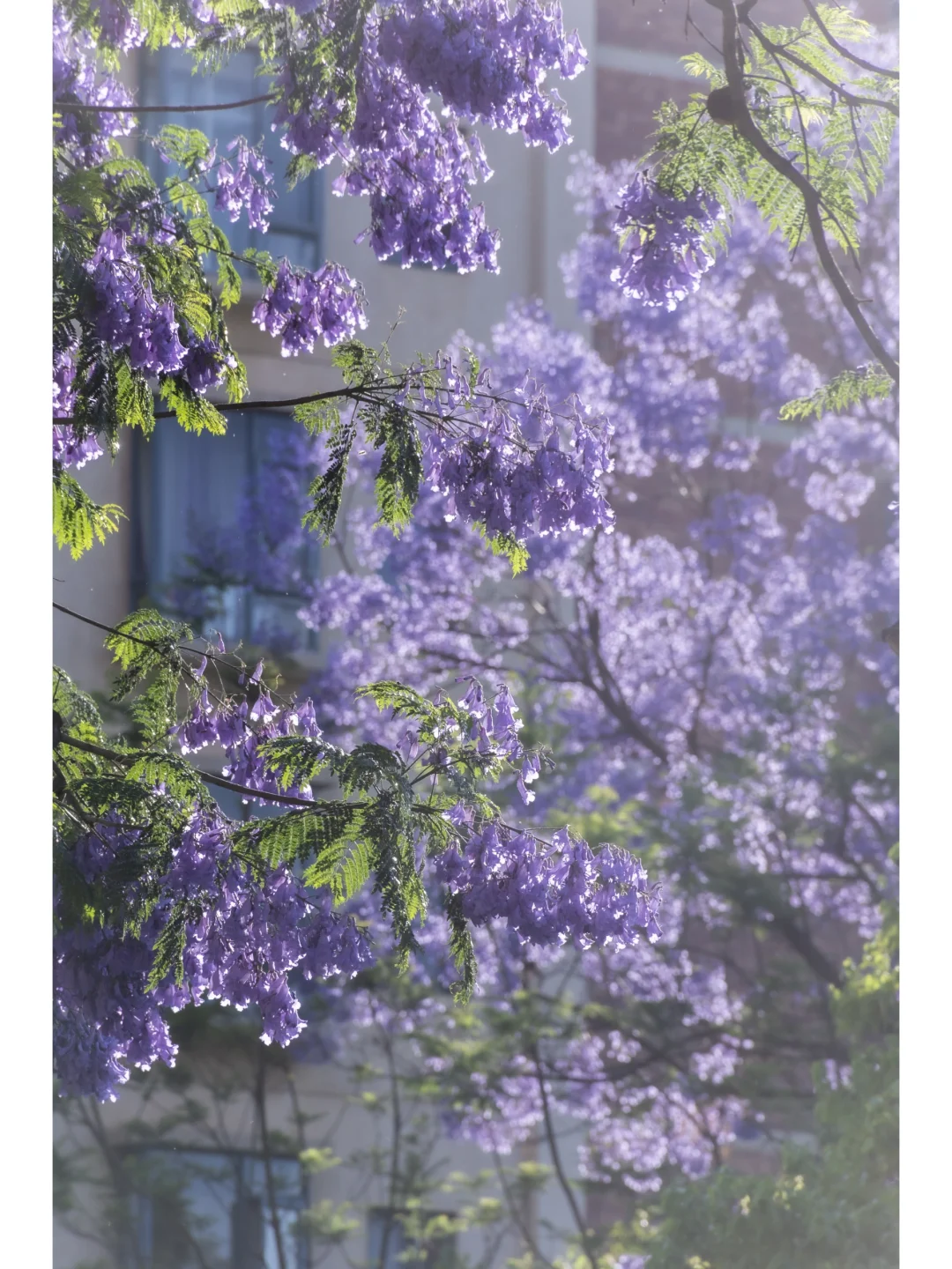 274.webp