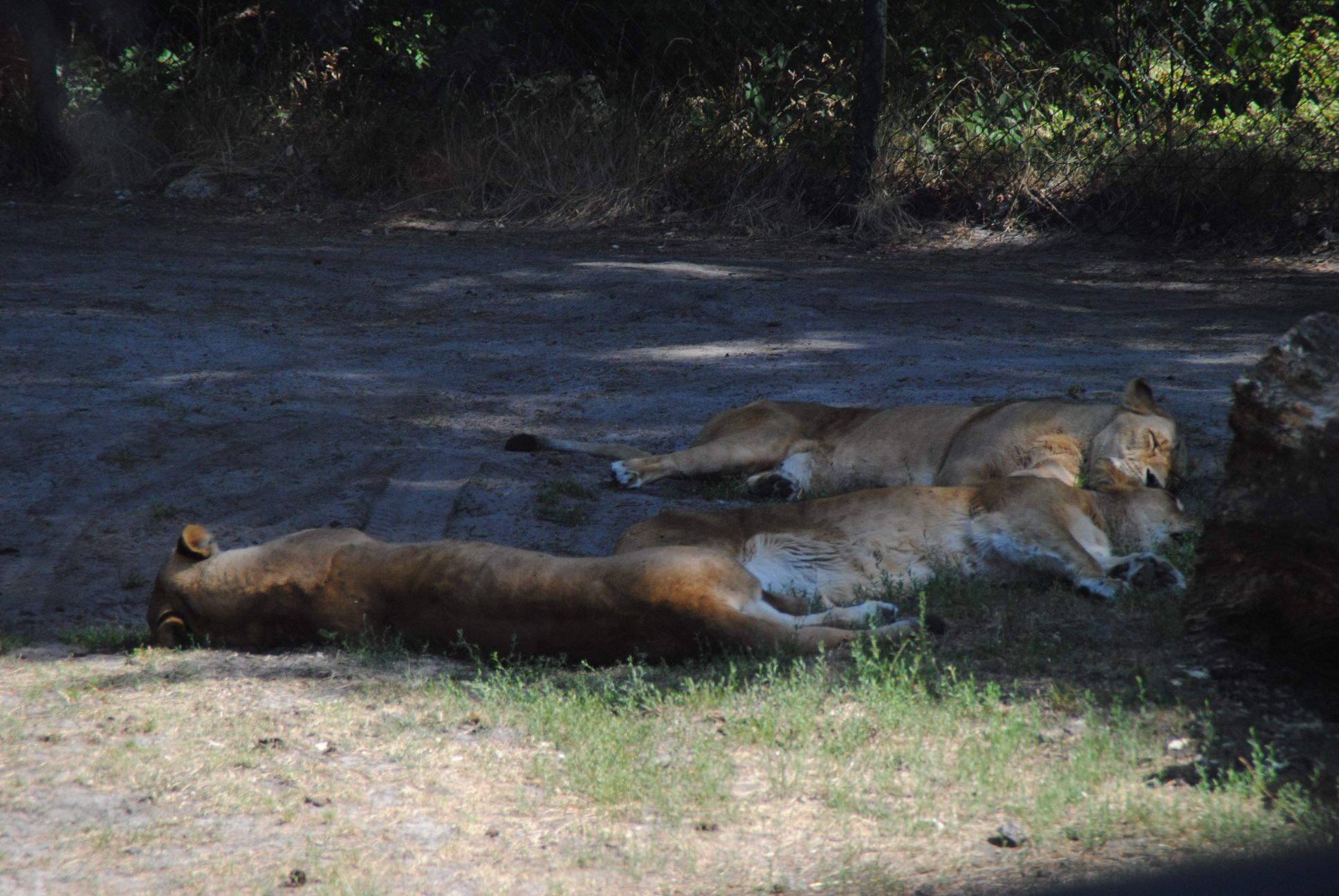 image035.jpg