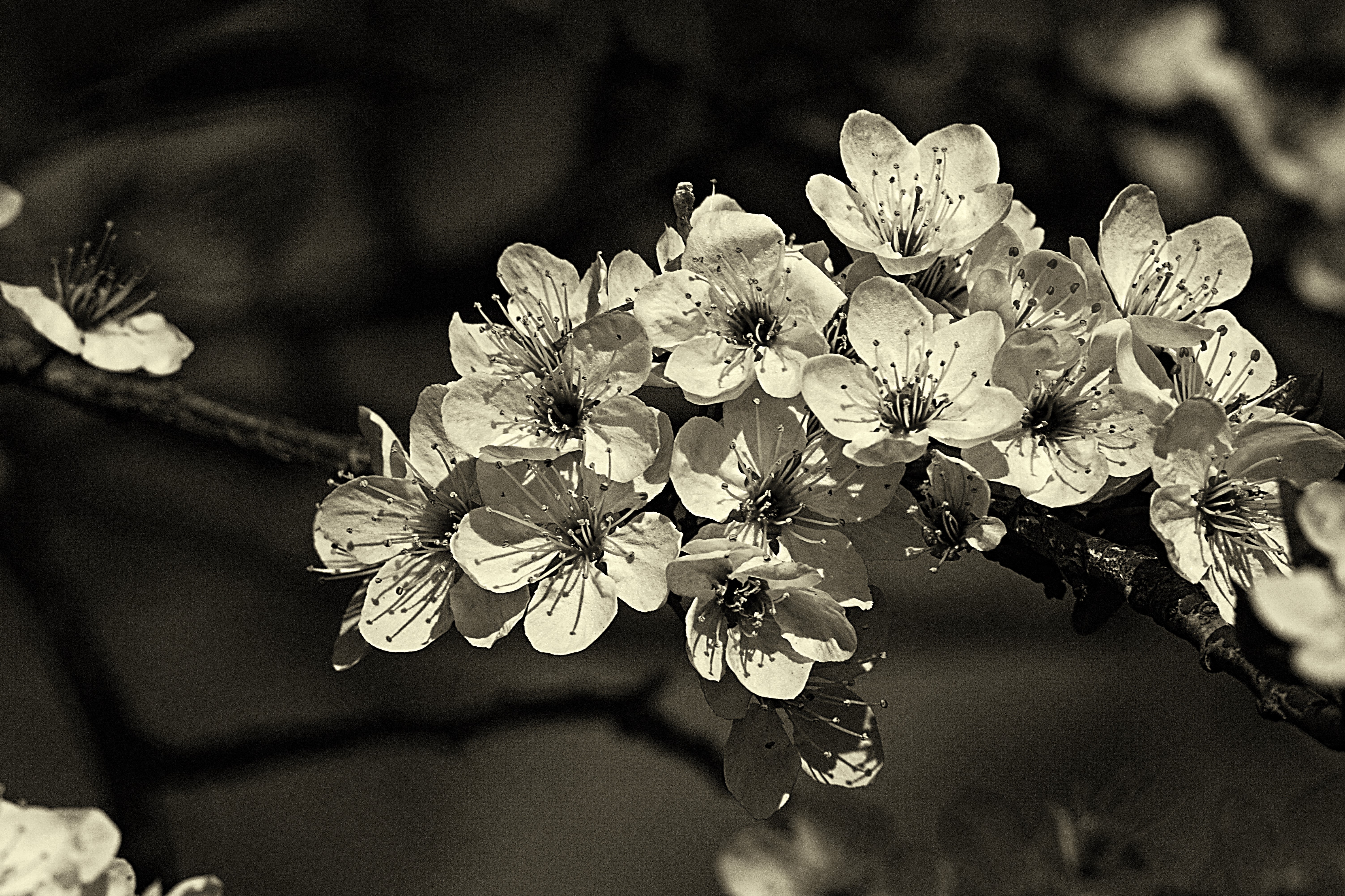 IMG_1390_InPixio (3)_InPixio.jpg