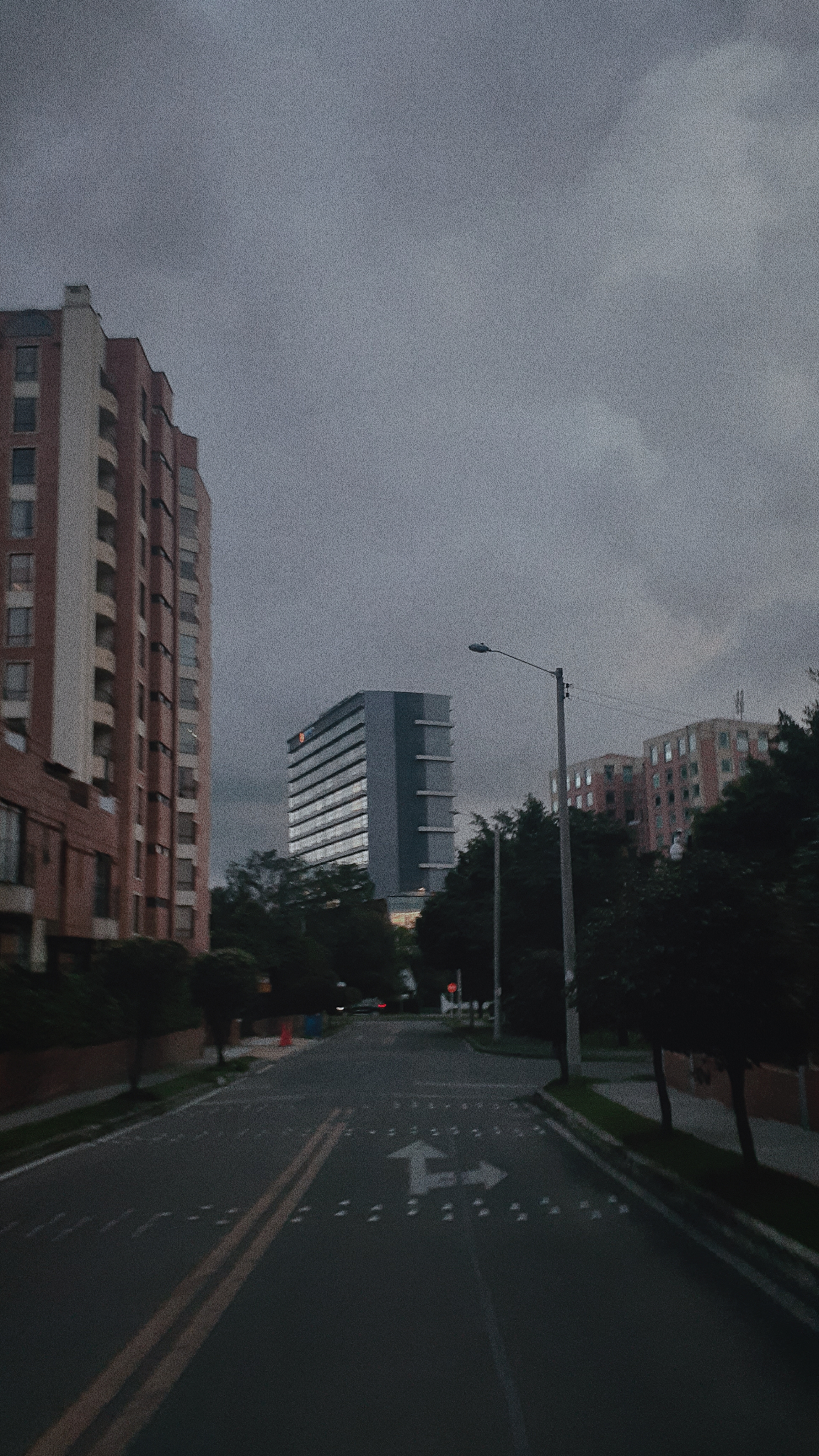 20191105_023153_113.jpg