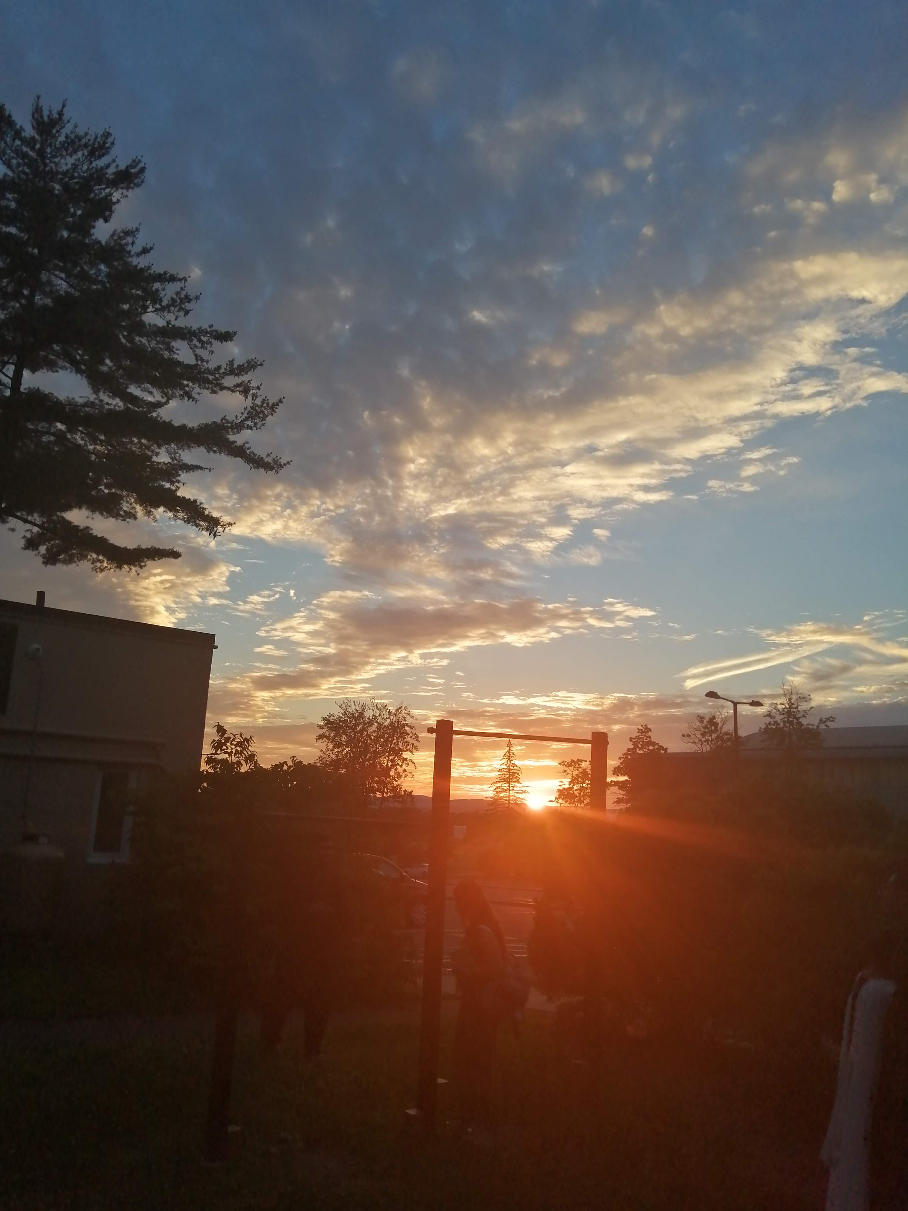 IMG_20190702_202050.jpg