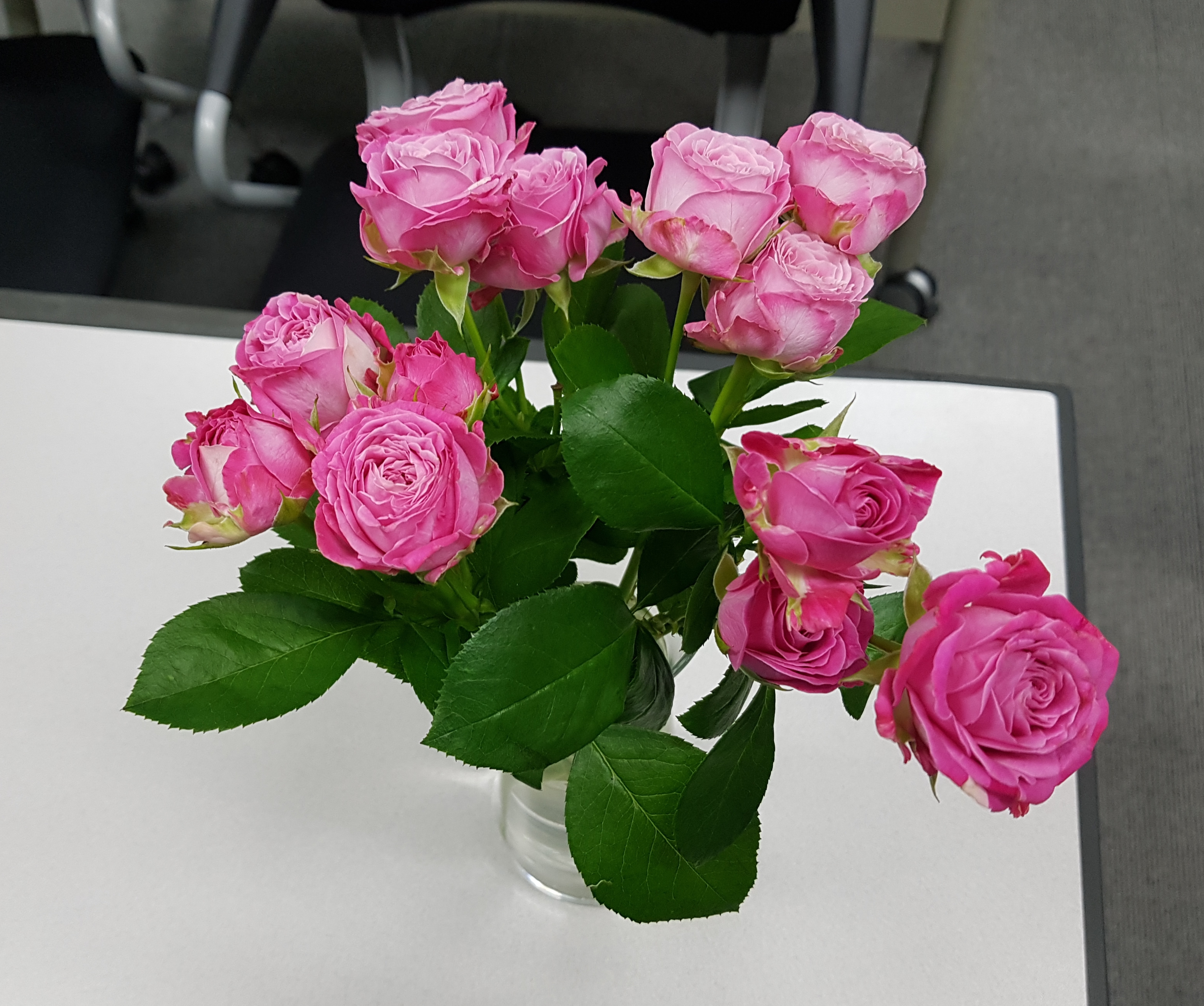 20180723_192441.jpg