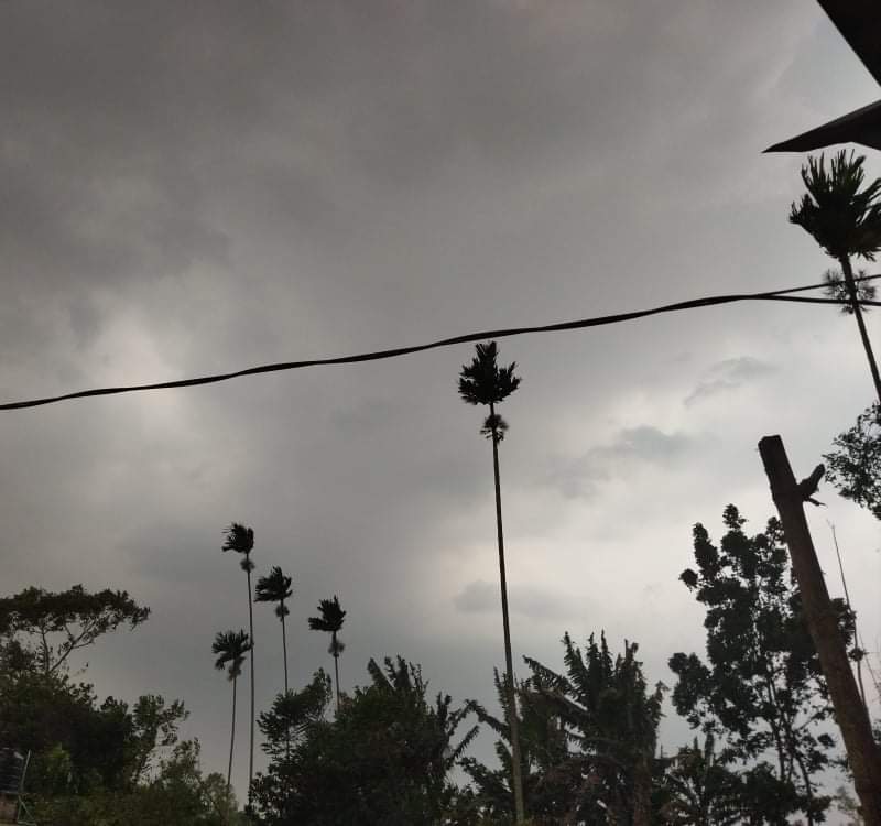 received_228686832348360.jpeg