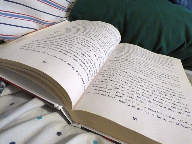 P1070192.jpg