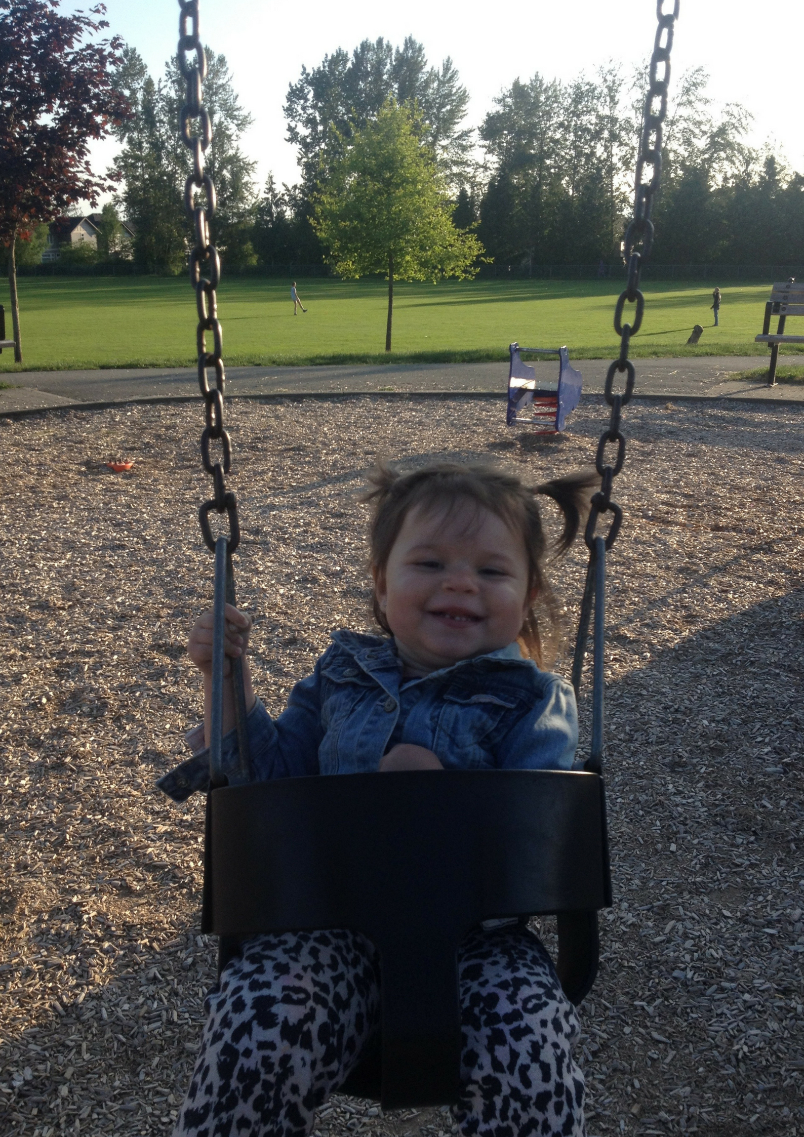 Untitled design (5).jpg