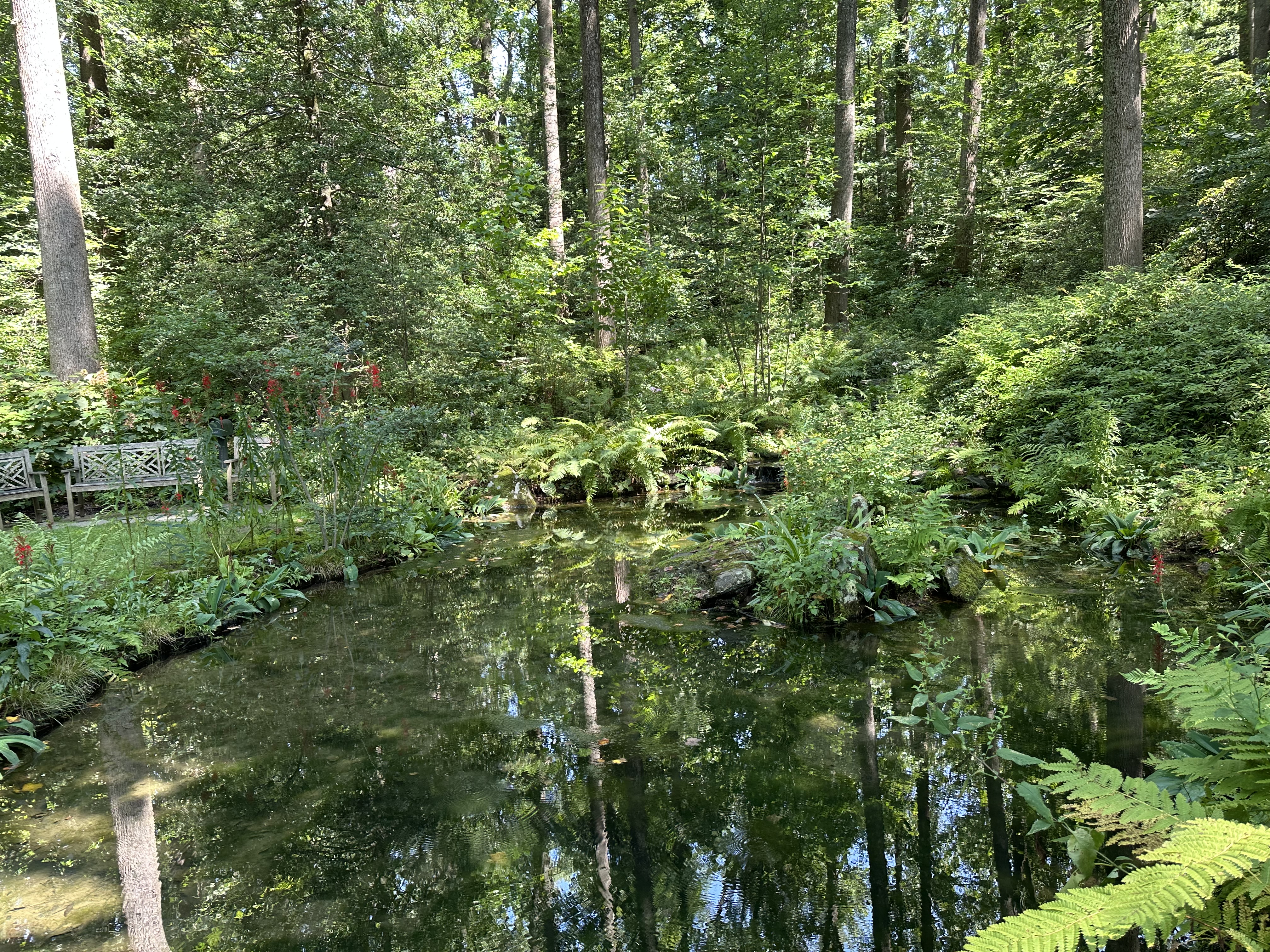 IMG_5602.jpeg