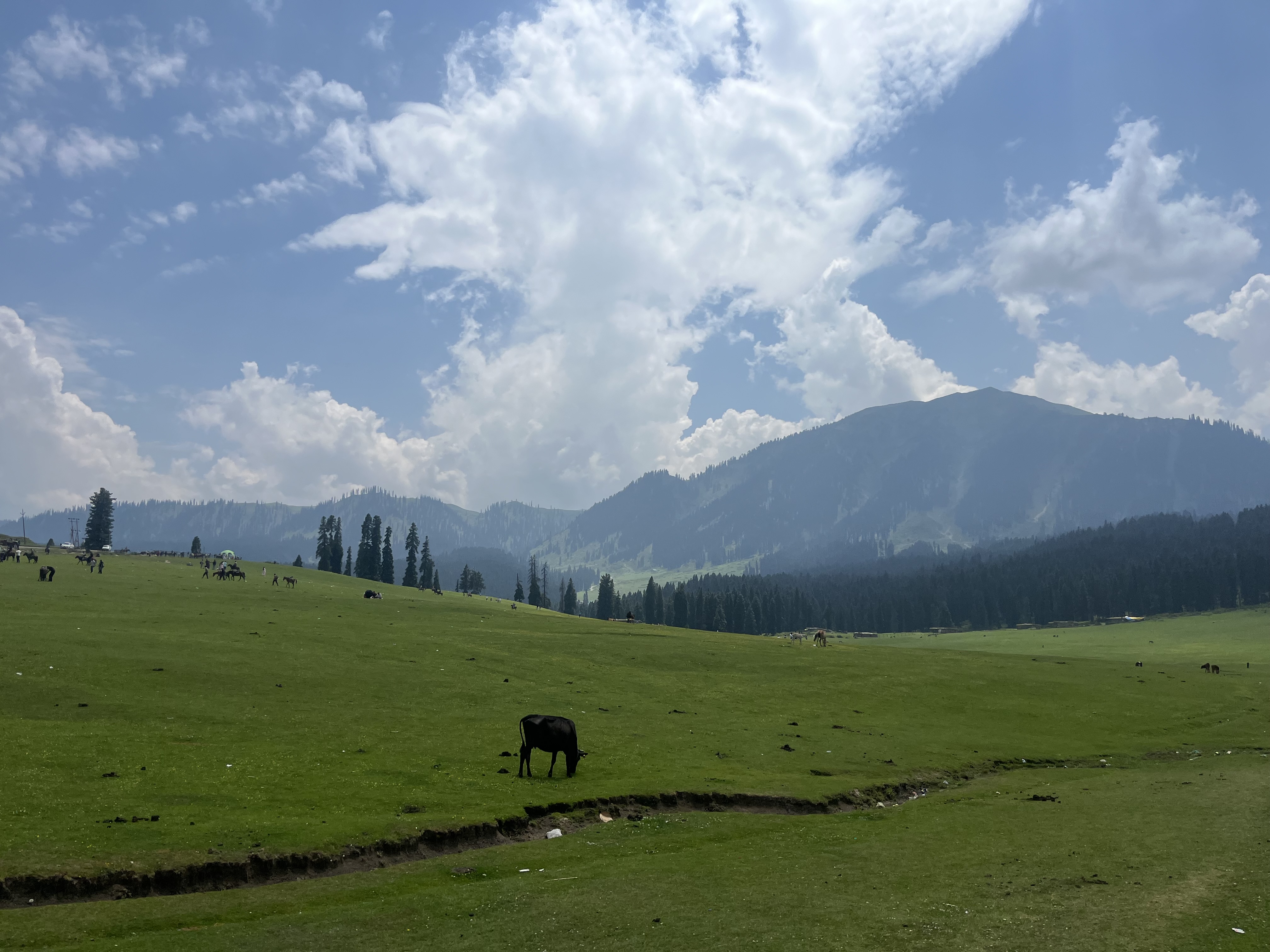 IMG_0666.jpeg