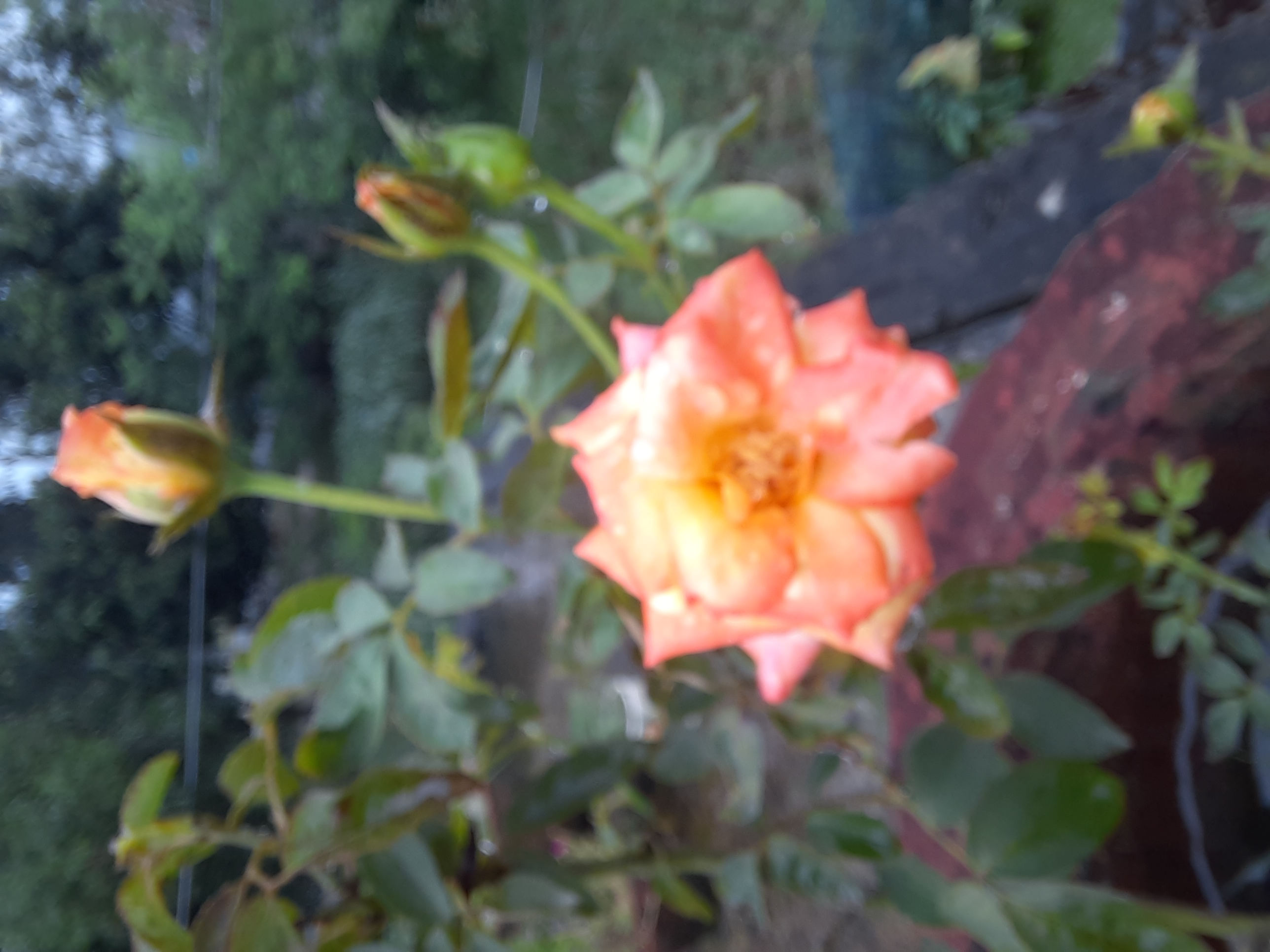 20230825_075913.jpg