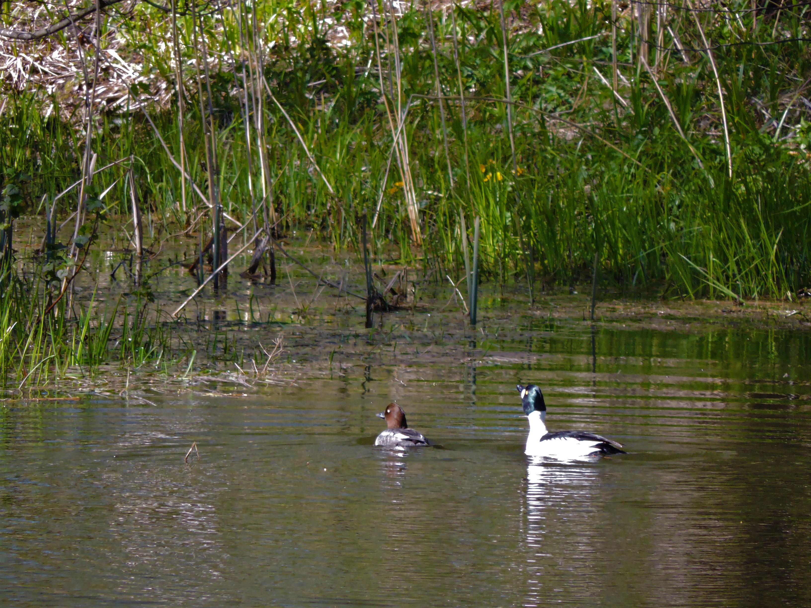 DSCN4207.JPG