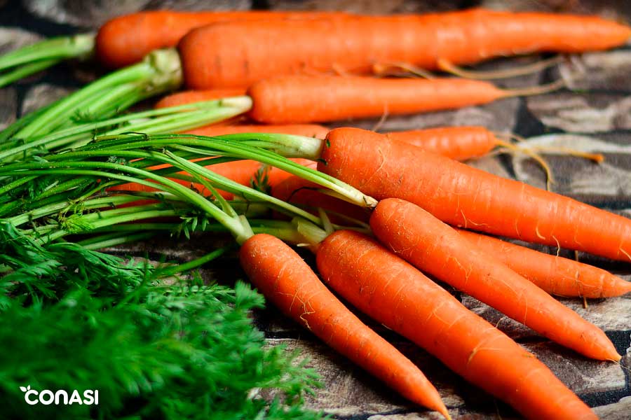 zanahorias-y-tomar-el-sol.jpg