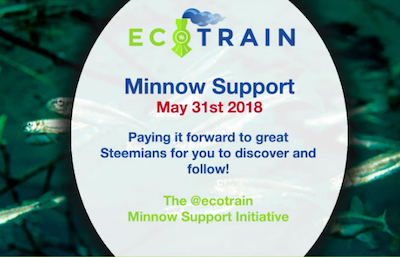 minnow support ecotrain.jpg