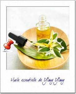 huile-essentielle-de-ylang-ylang.JPG
