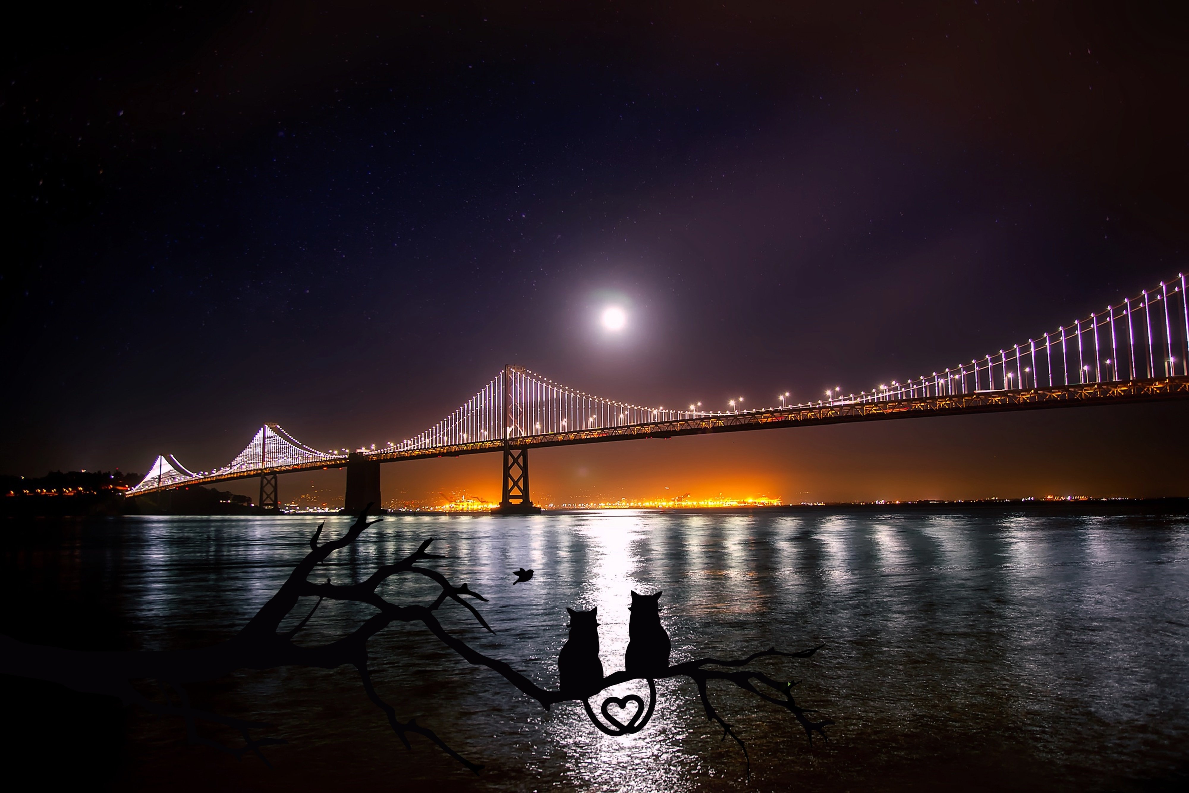 noname_13-san-francisco-1893985.jpg