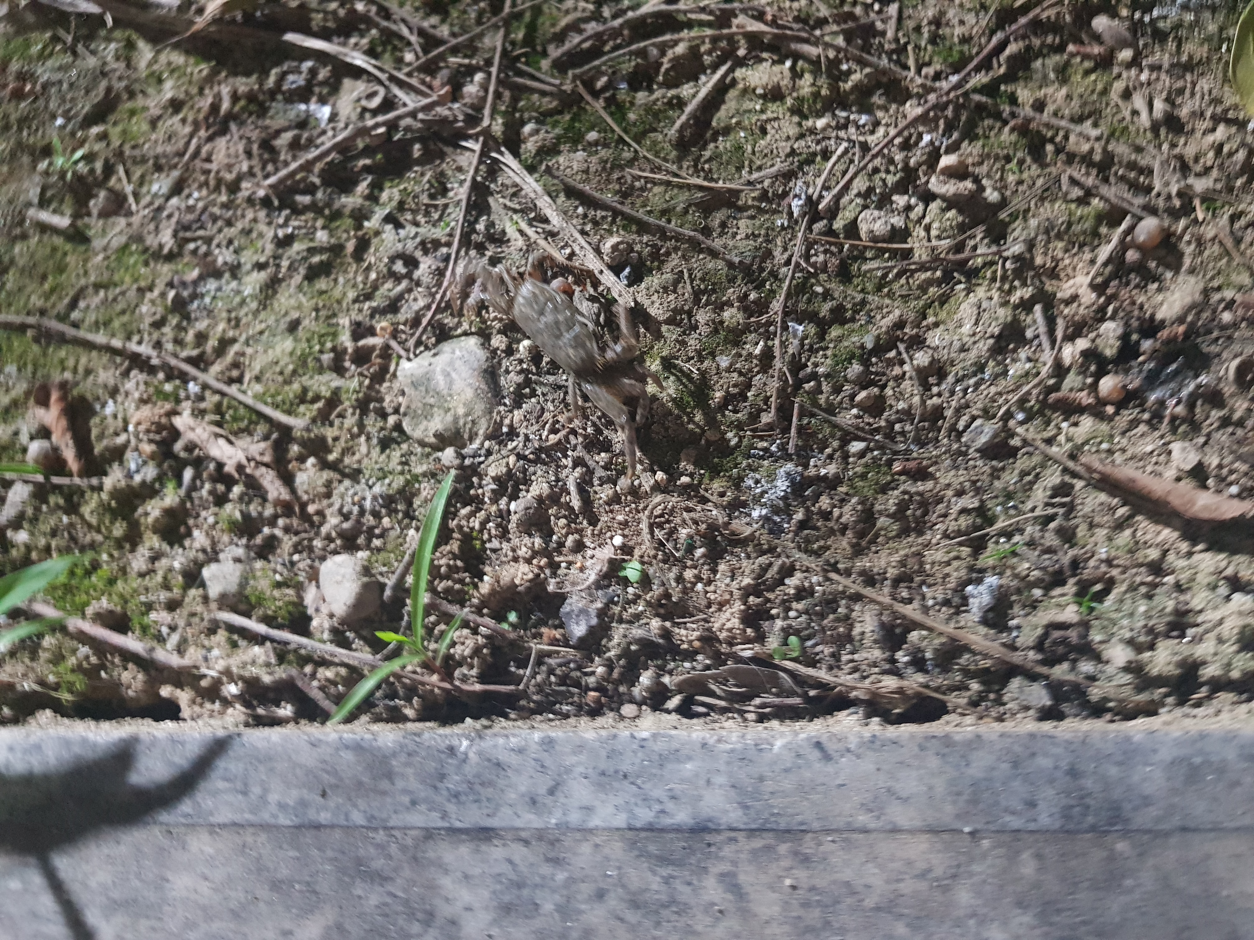 20210622_201625.jpg