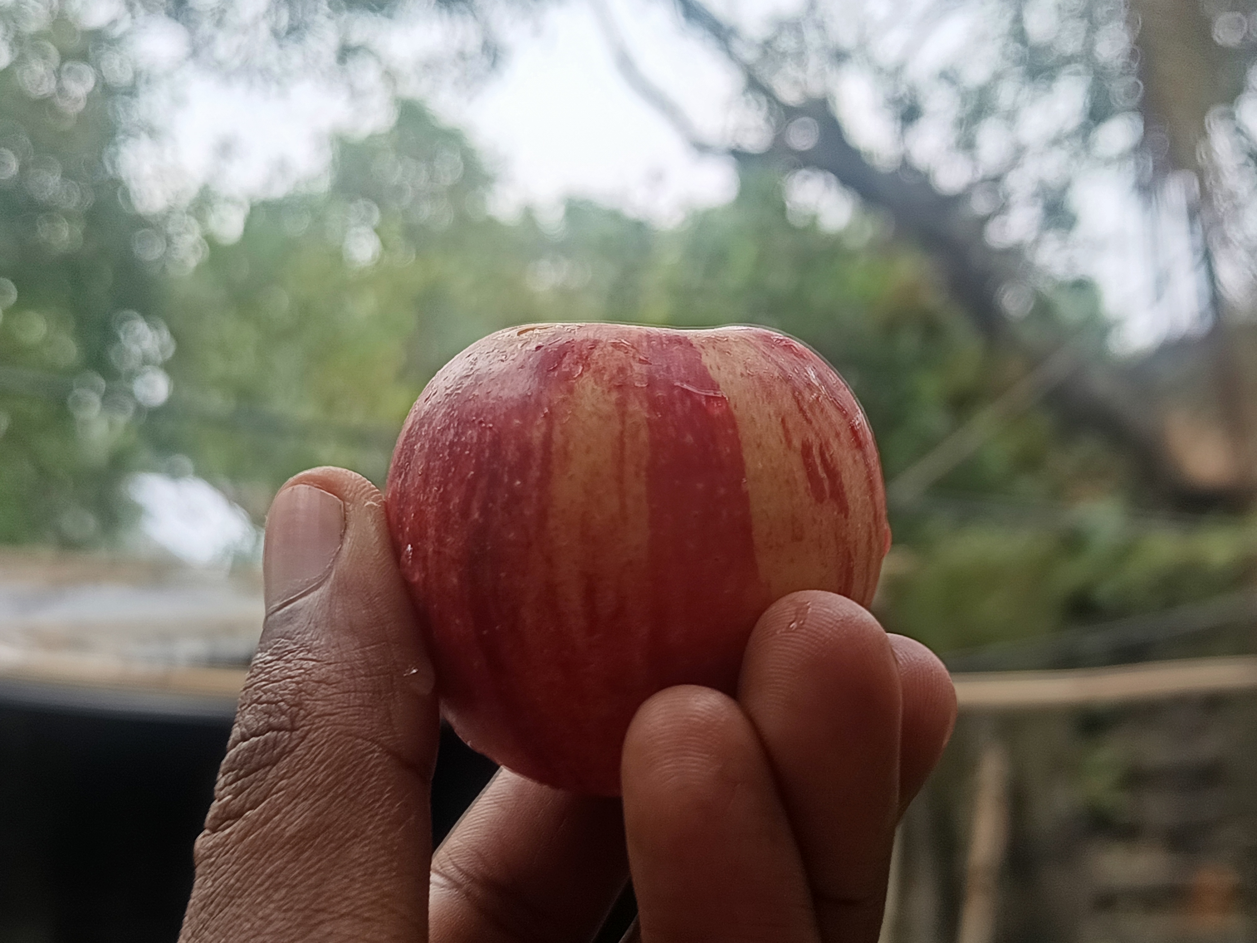 1000035197.jpg