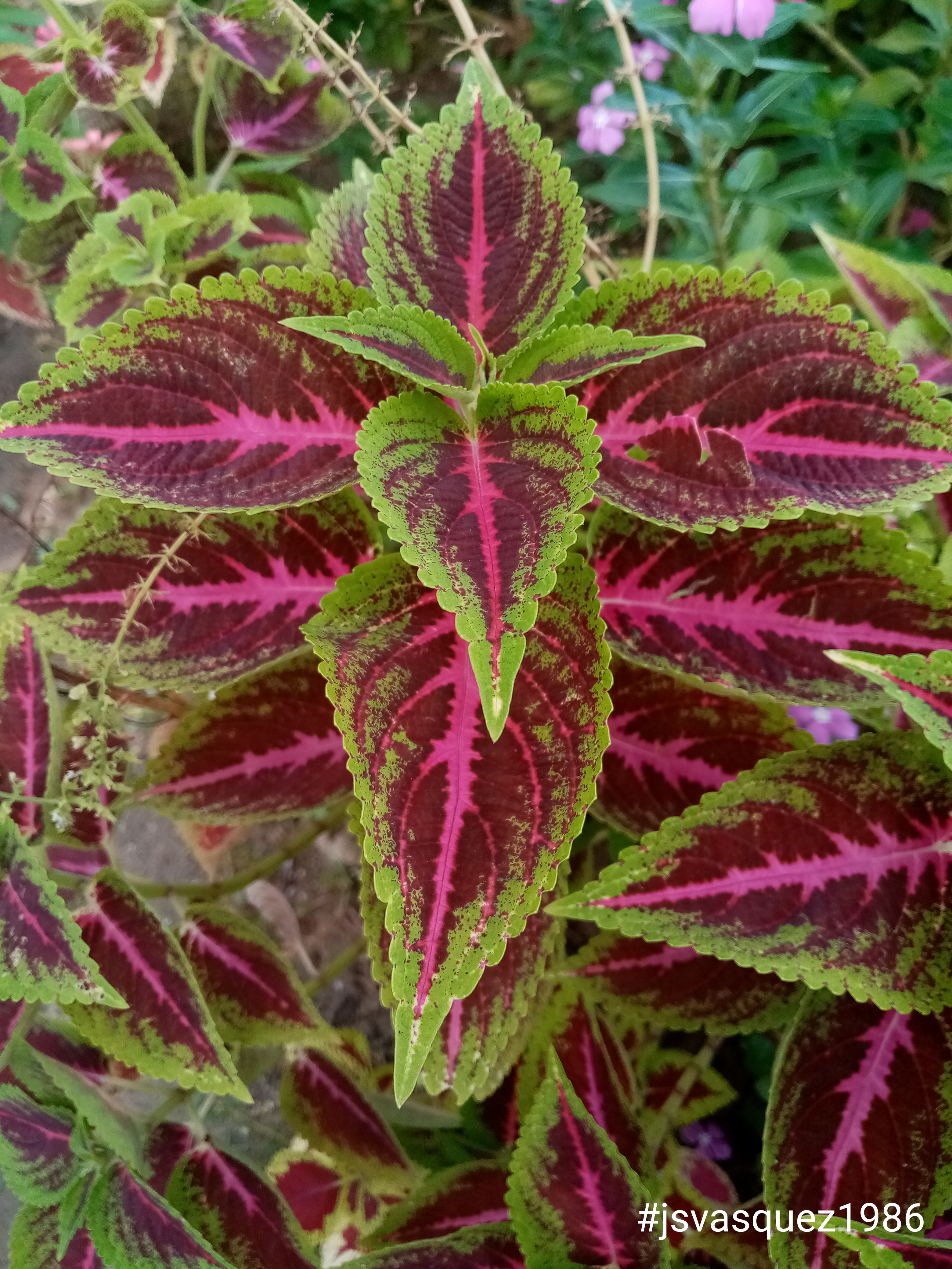 20220511_155835.jpg