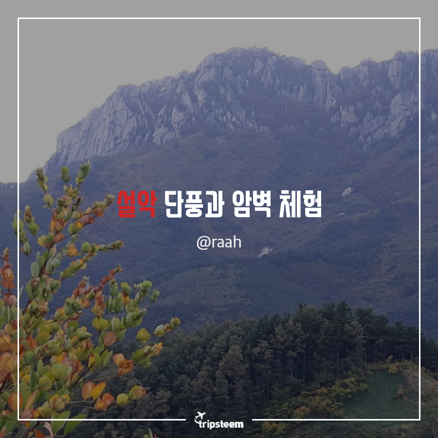 tyle-mlf-8-1541338216.png
