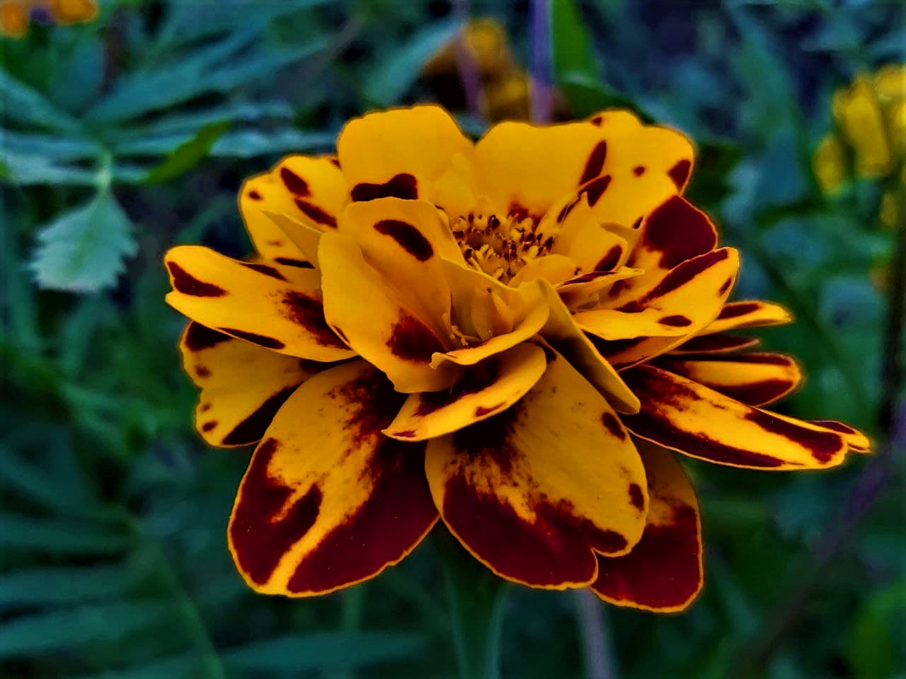 photo_2021-09-11_14-42-25 (3).jpg