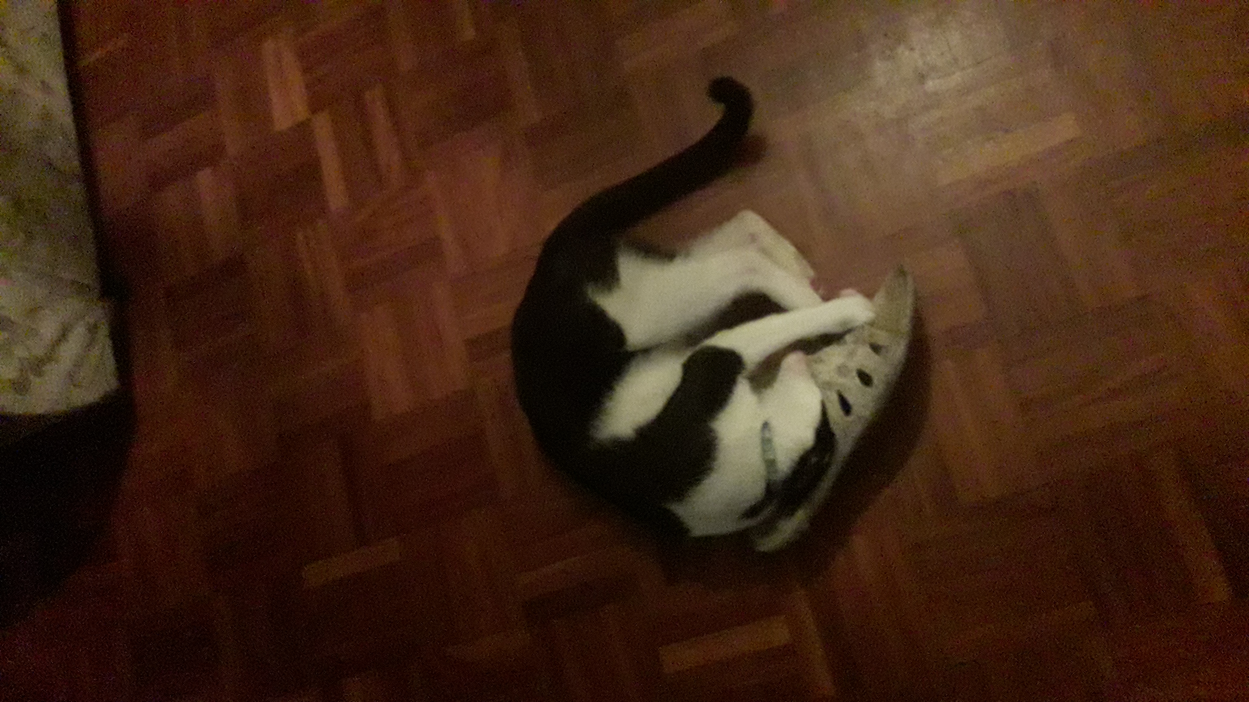 20200731_193946.jpg