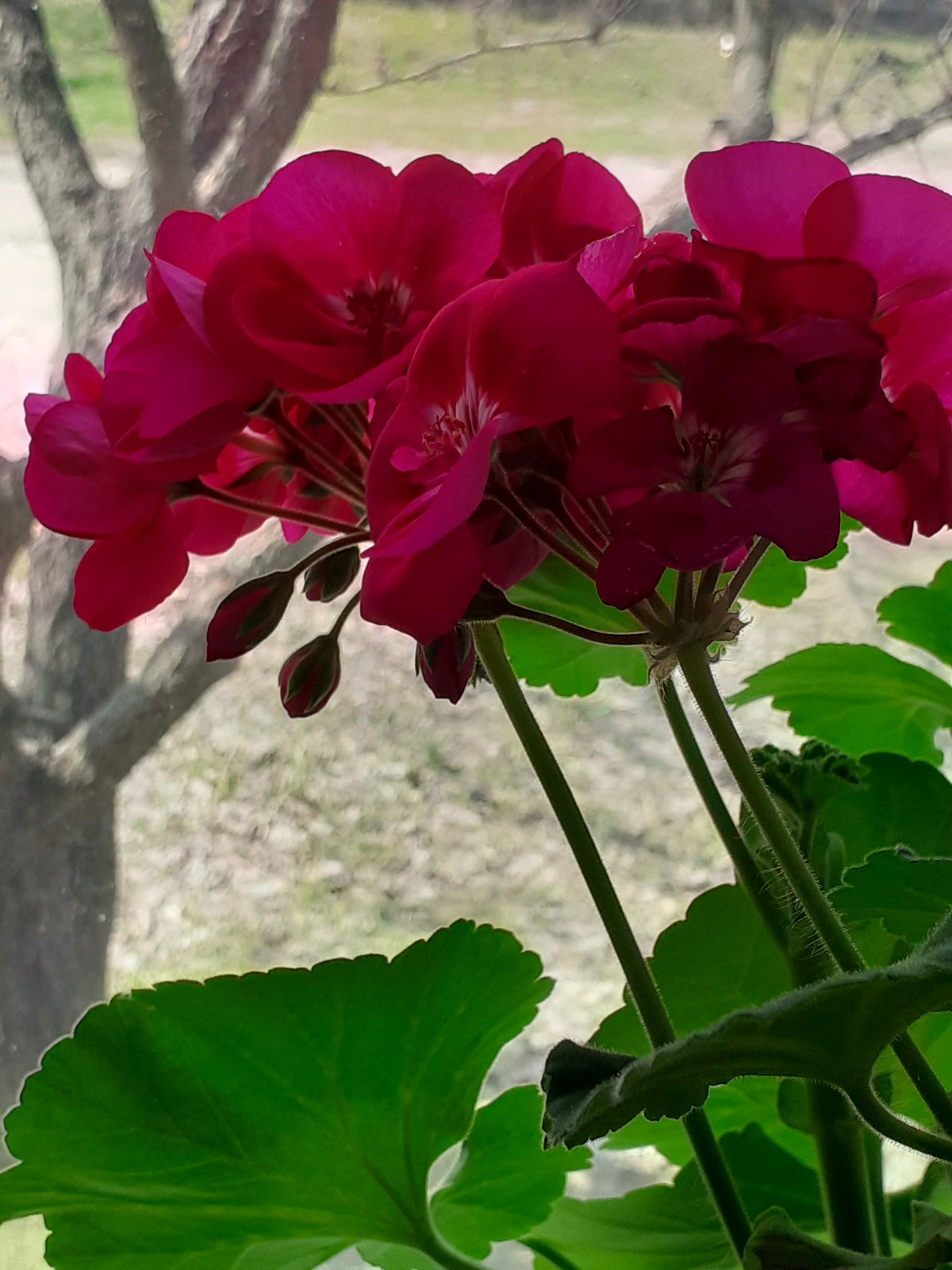 изображение_viber_2021-04-11_13-29-29.jpg