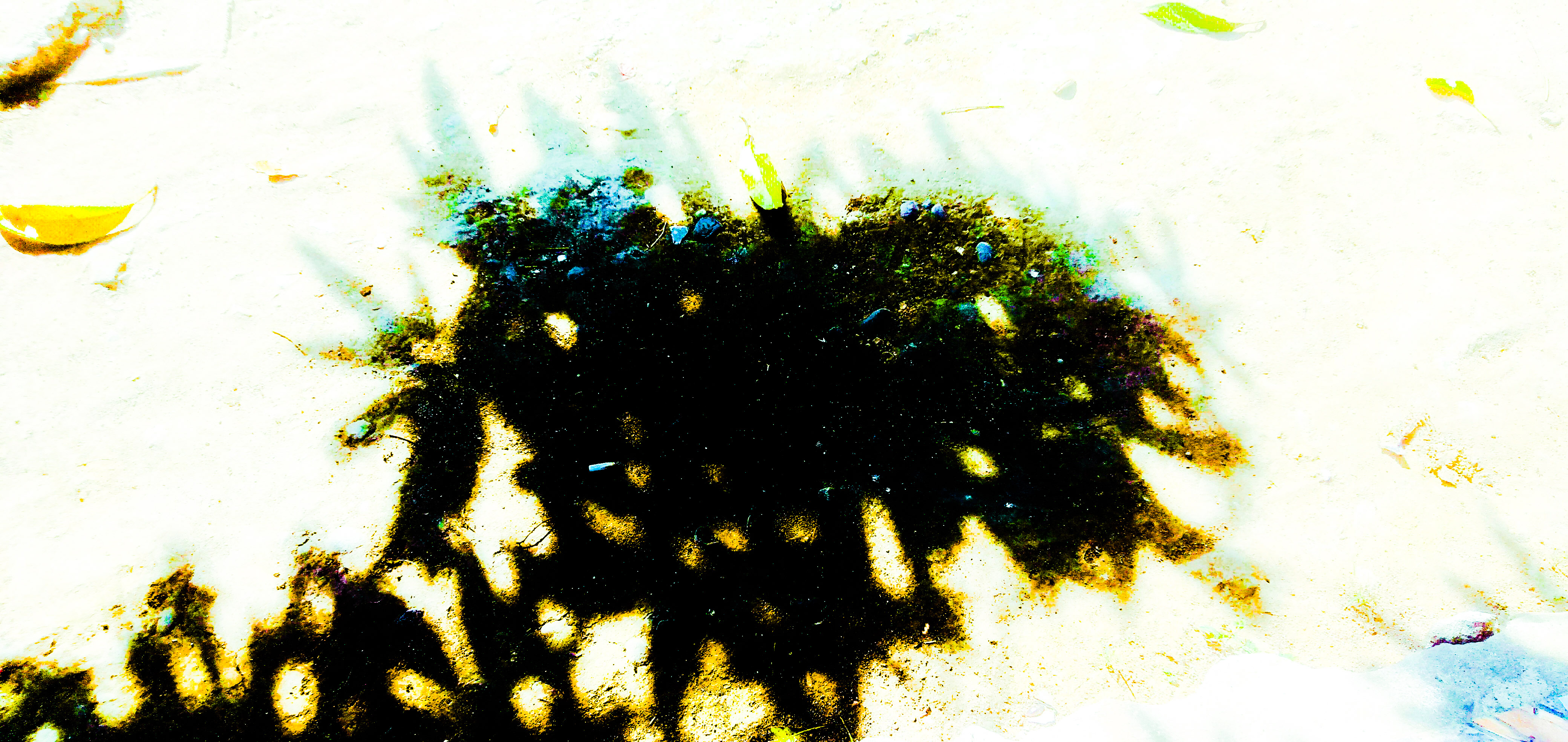 PSX_20200306_212512.jpg