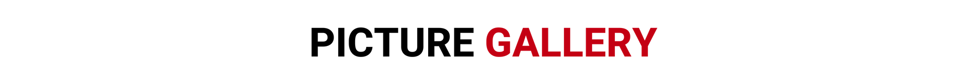 Picture Gallery.png