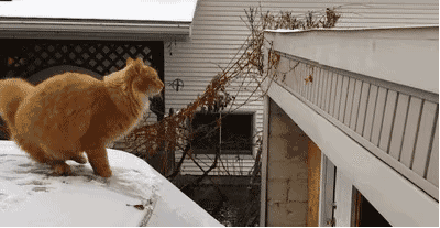 bec030999bfaf1cc0212bafac4cf93d5.gif