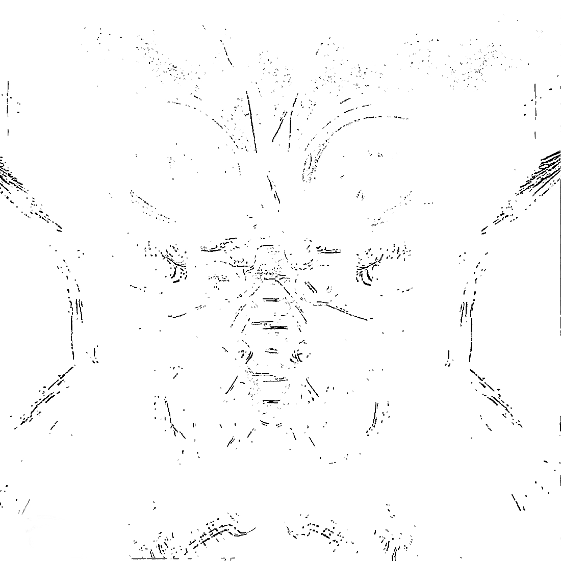 sketchc.jpg