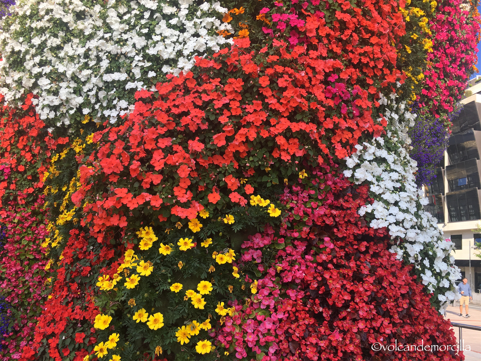 3C9B0960-601E-4D15-AAE1-85BB9CCB67C3.png