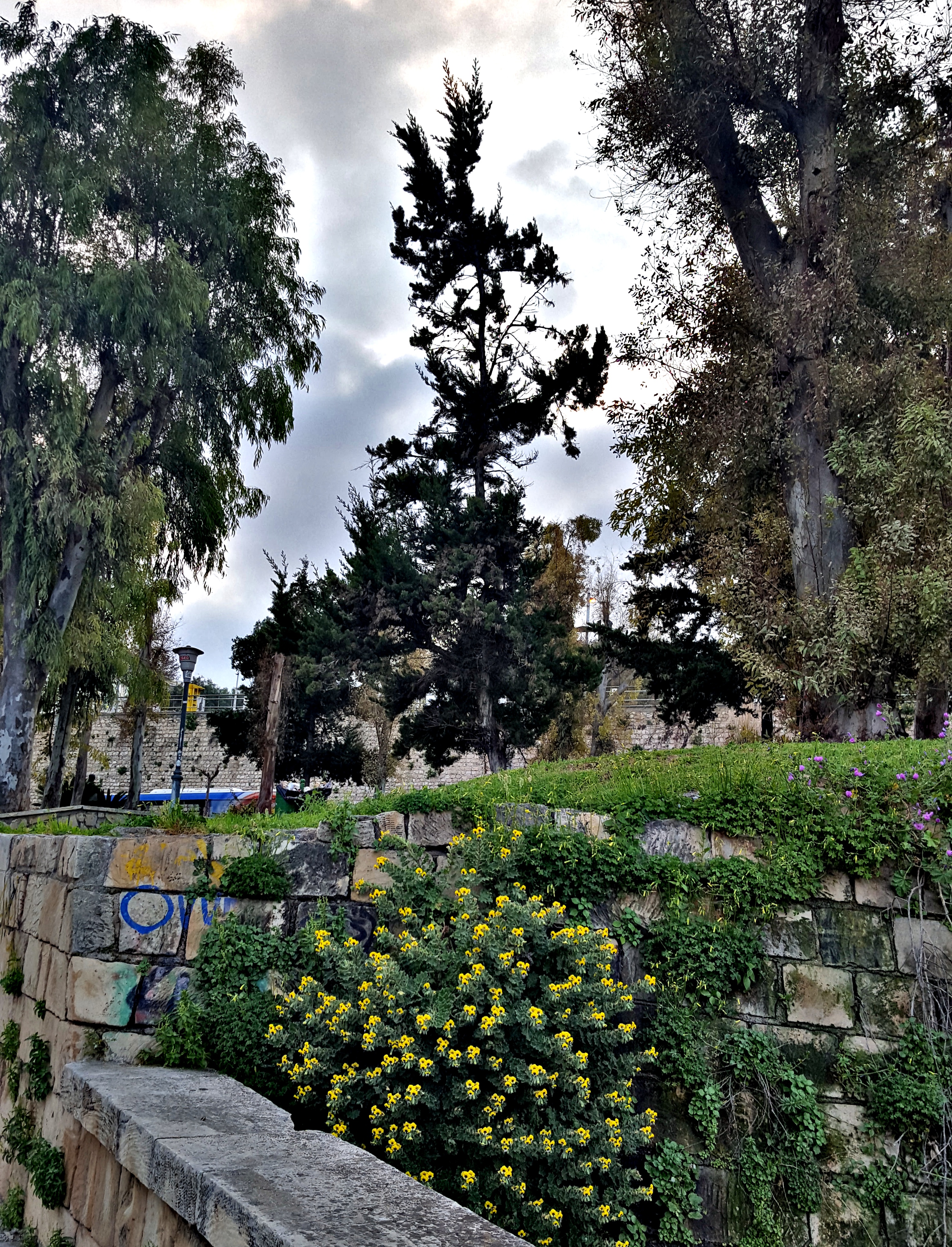 20190328_202603.jpg
