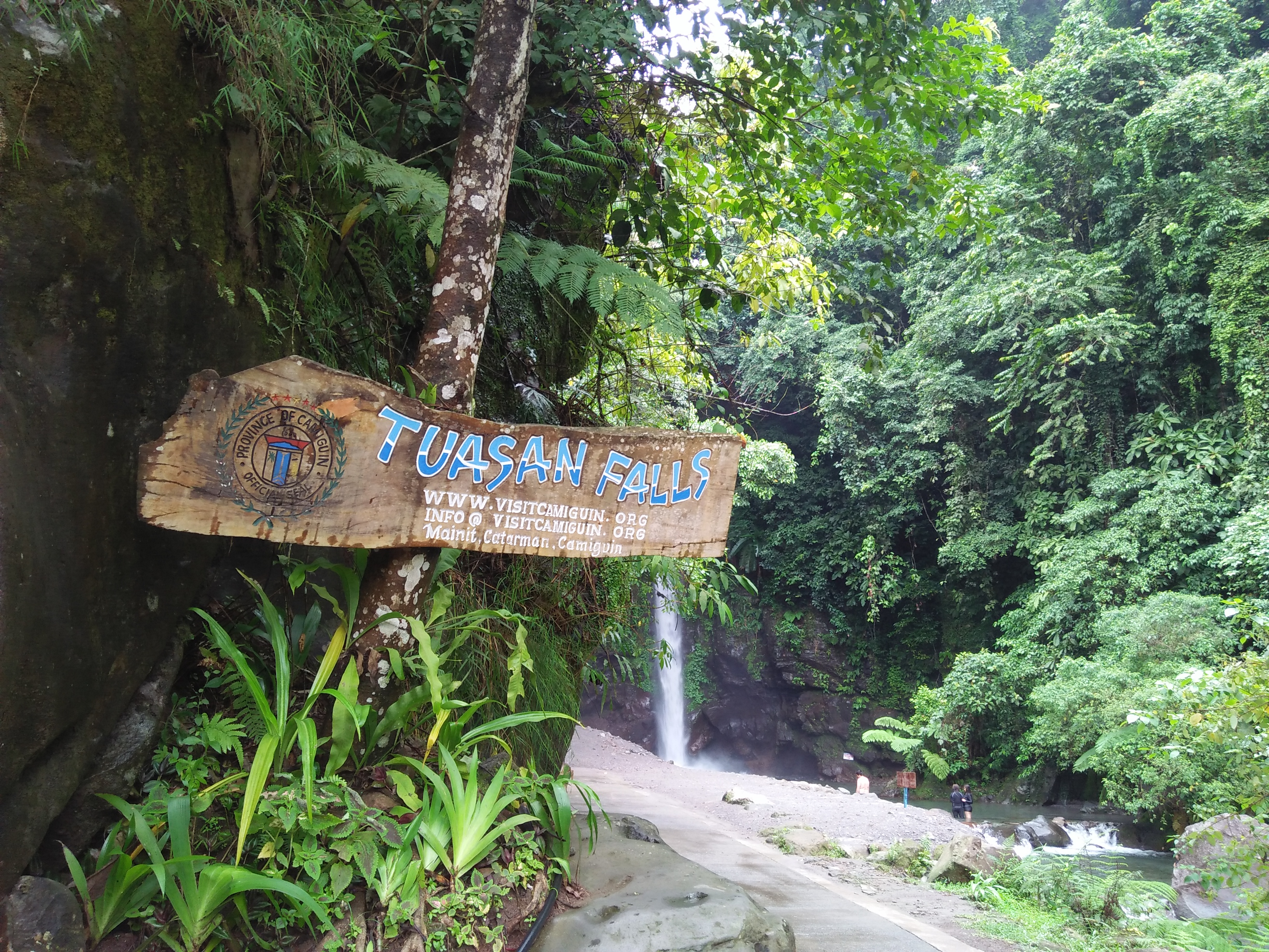 IMG20180605110140.jpg