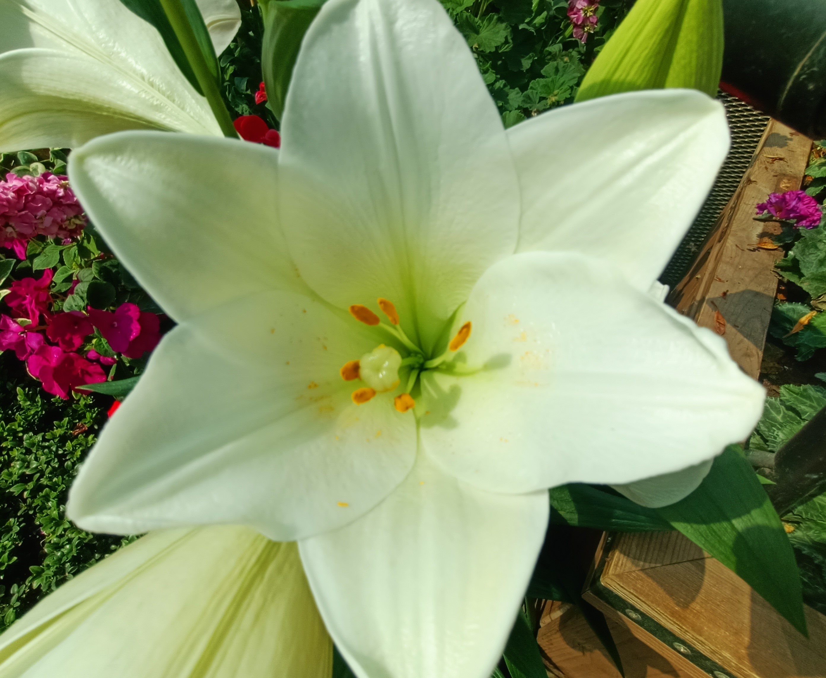 IMG20251201150615.jpg