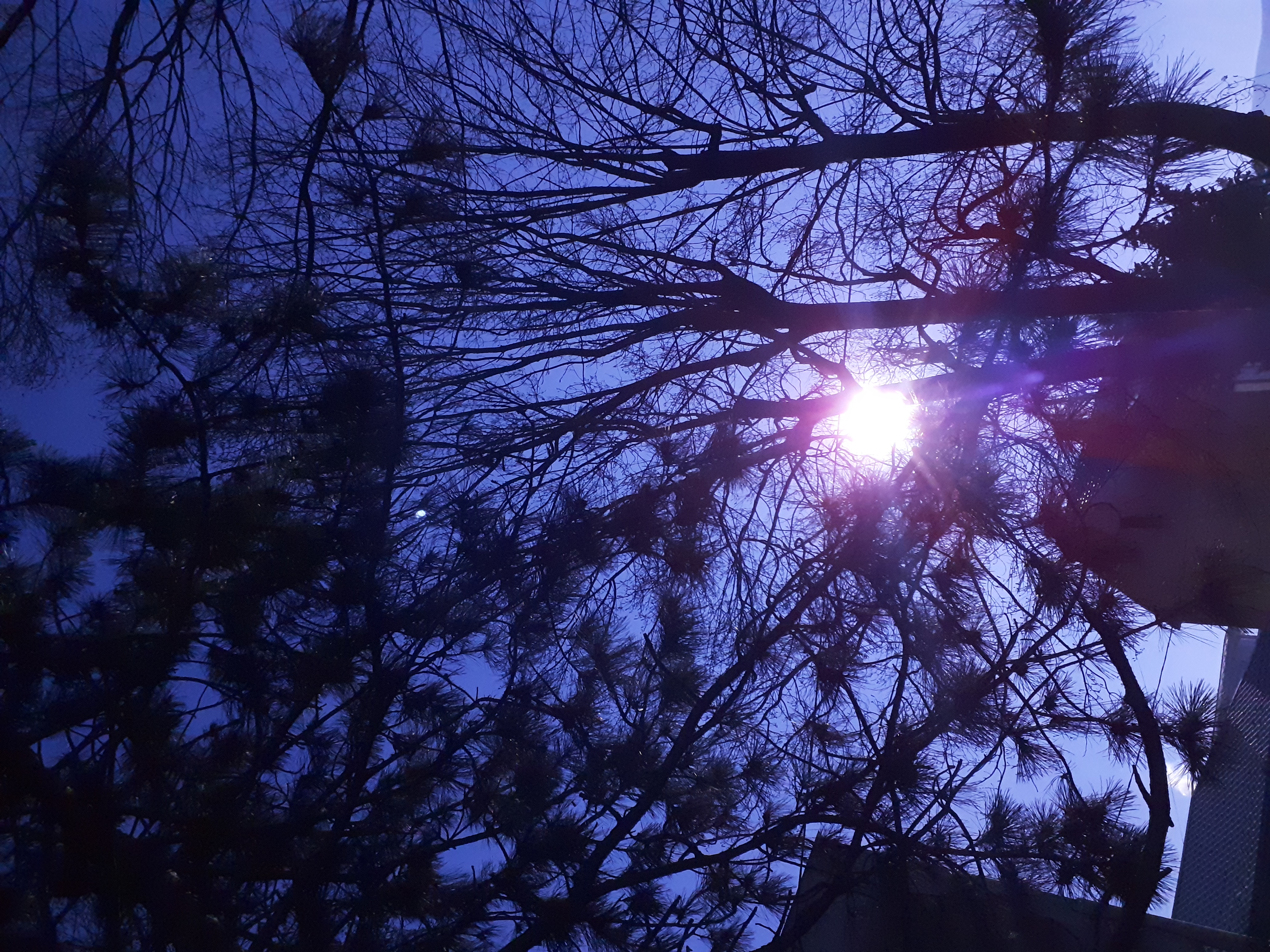 20220206_102229.jpg