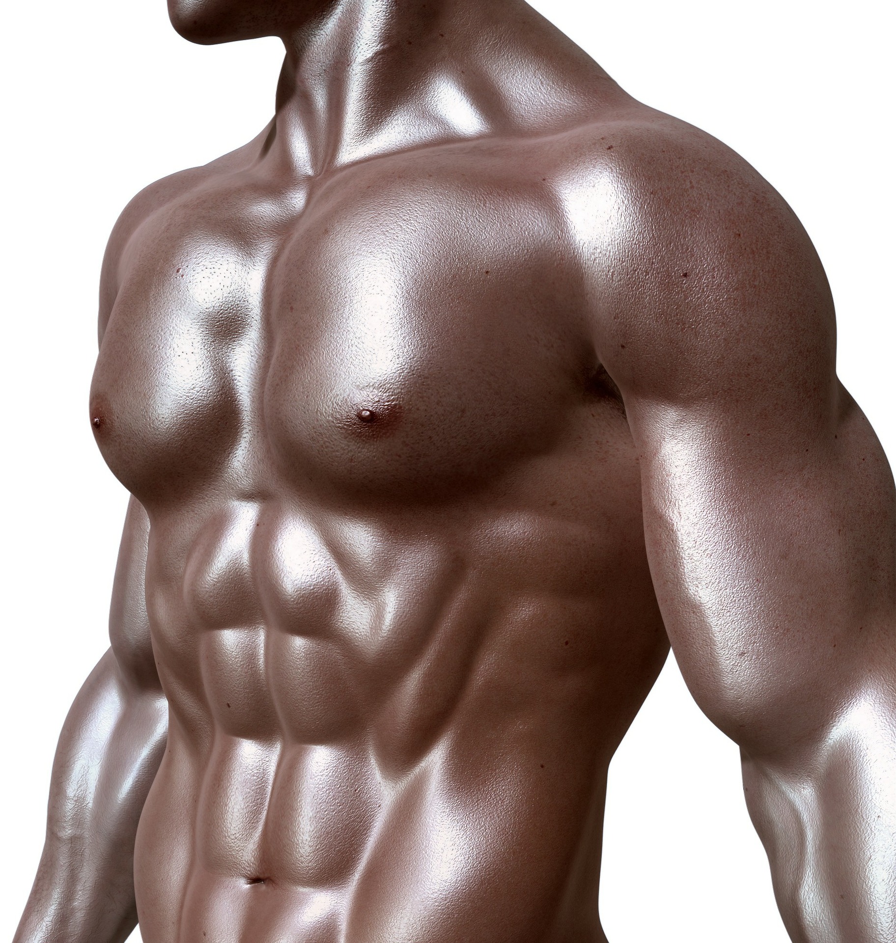 bodybuilder-g5f8808b4a_1920.jpg