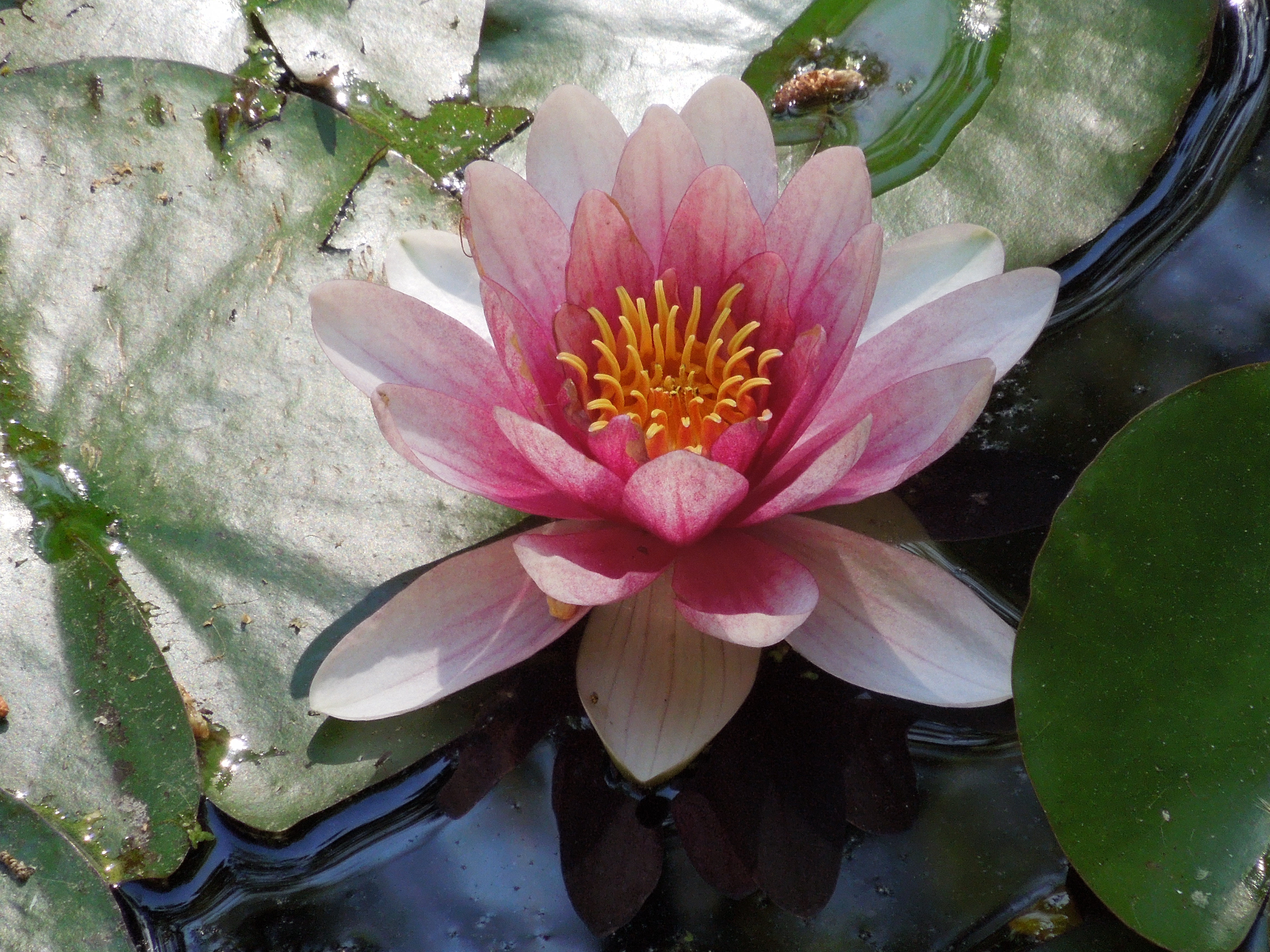 DSCN2958.JPG