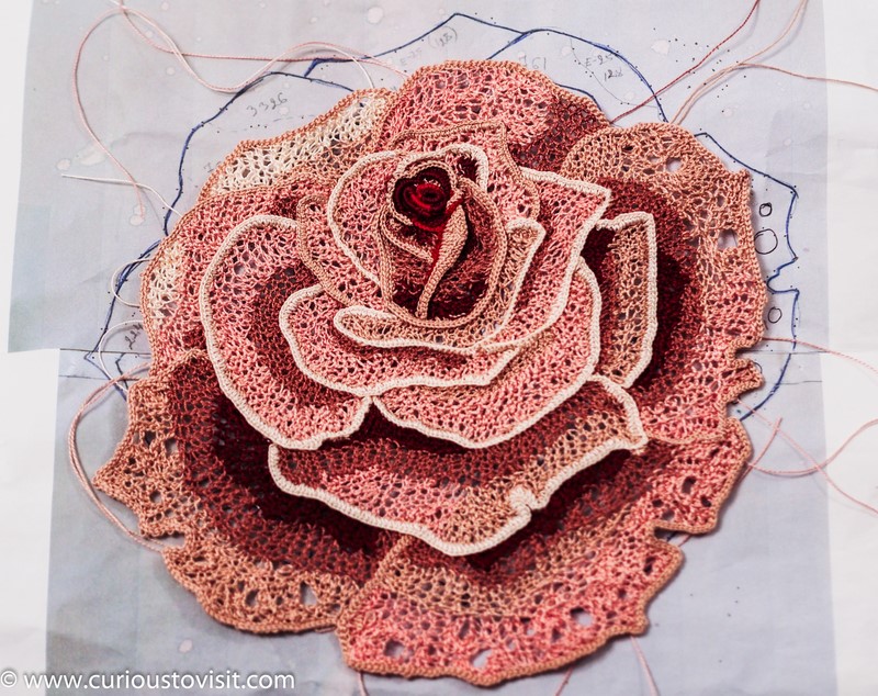 Main Rose almost there