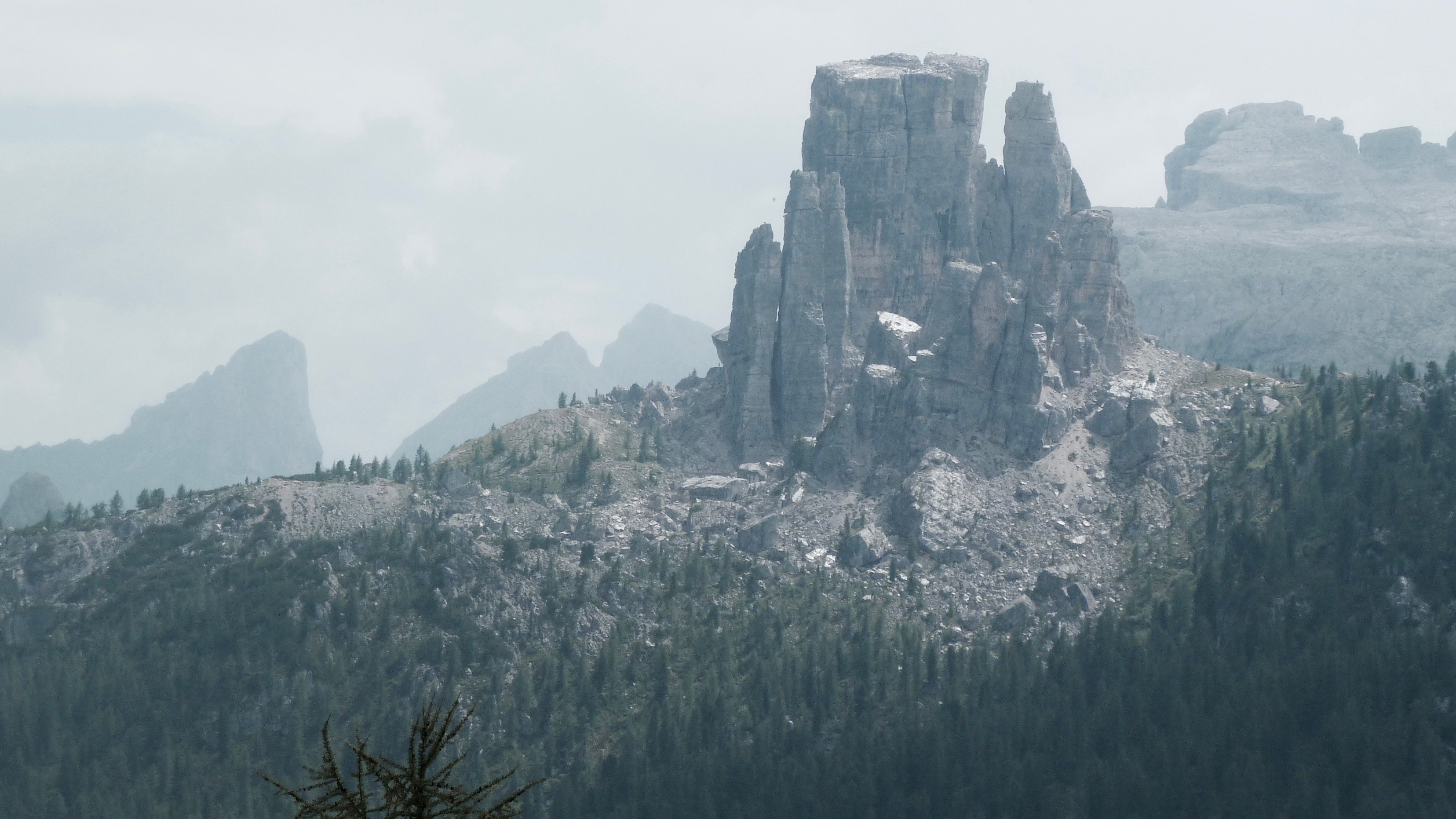 P1220176.jpg