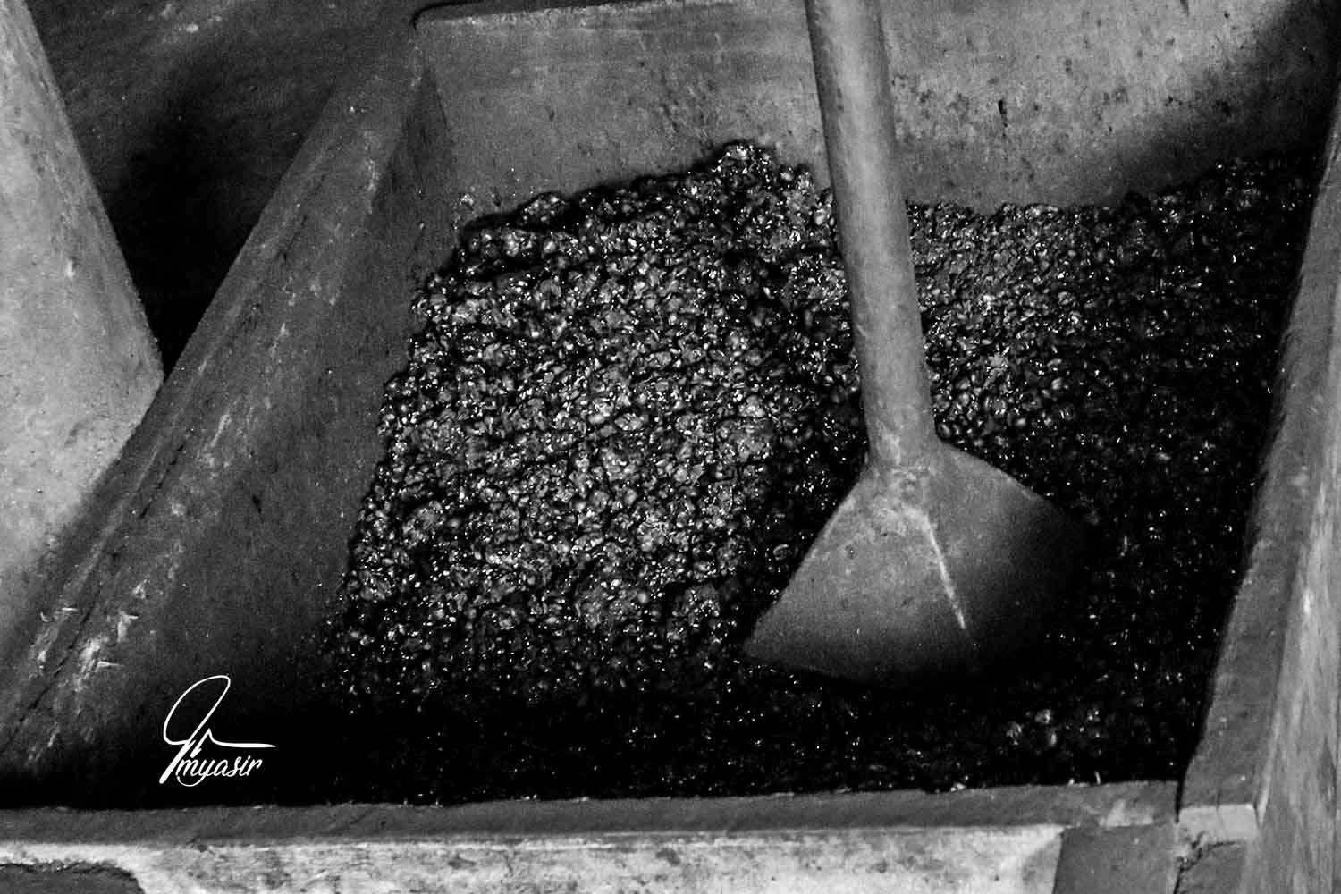 YASIR BNW (9).jpeg