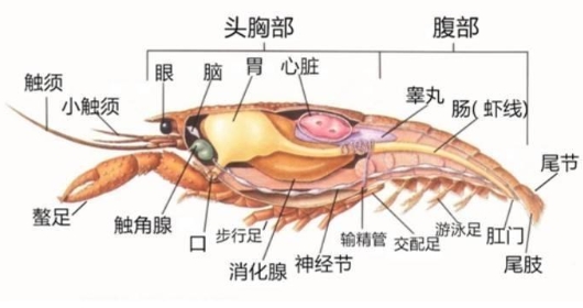 微信截图_20240821210853.png