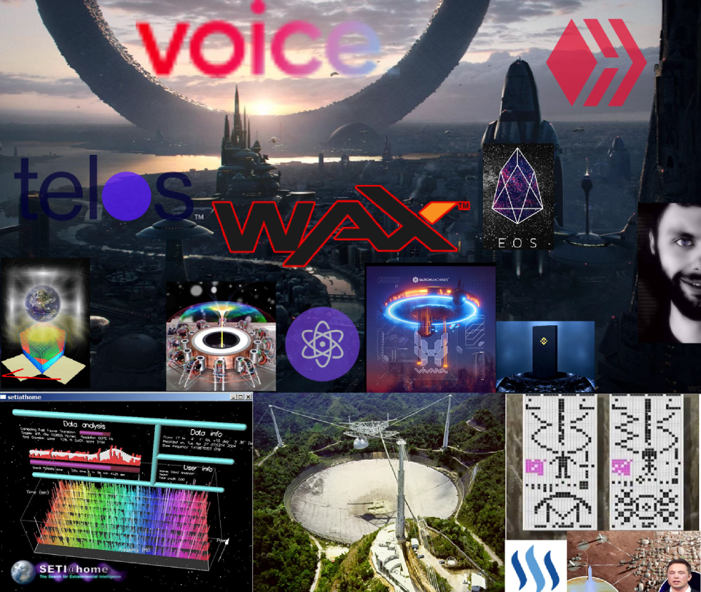 waxnftdan.png