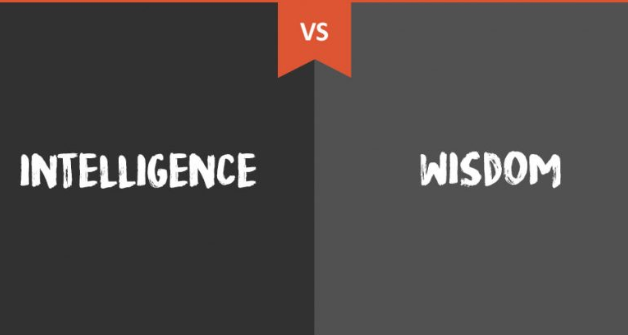intelligencevswisdom.PNG