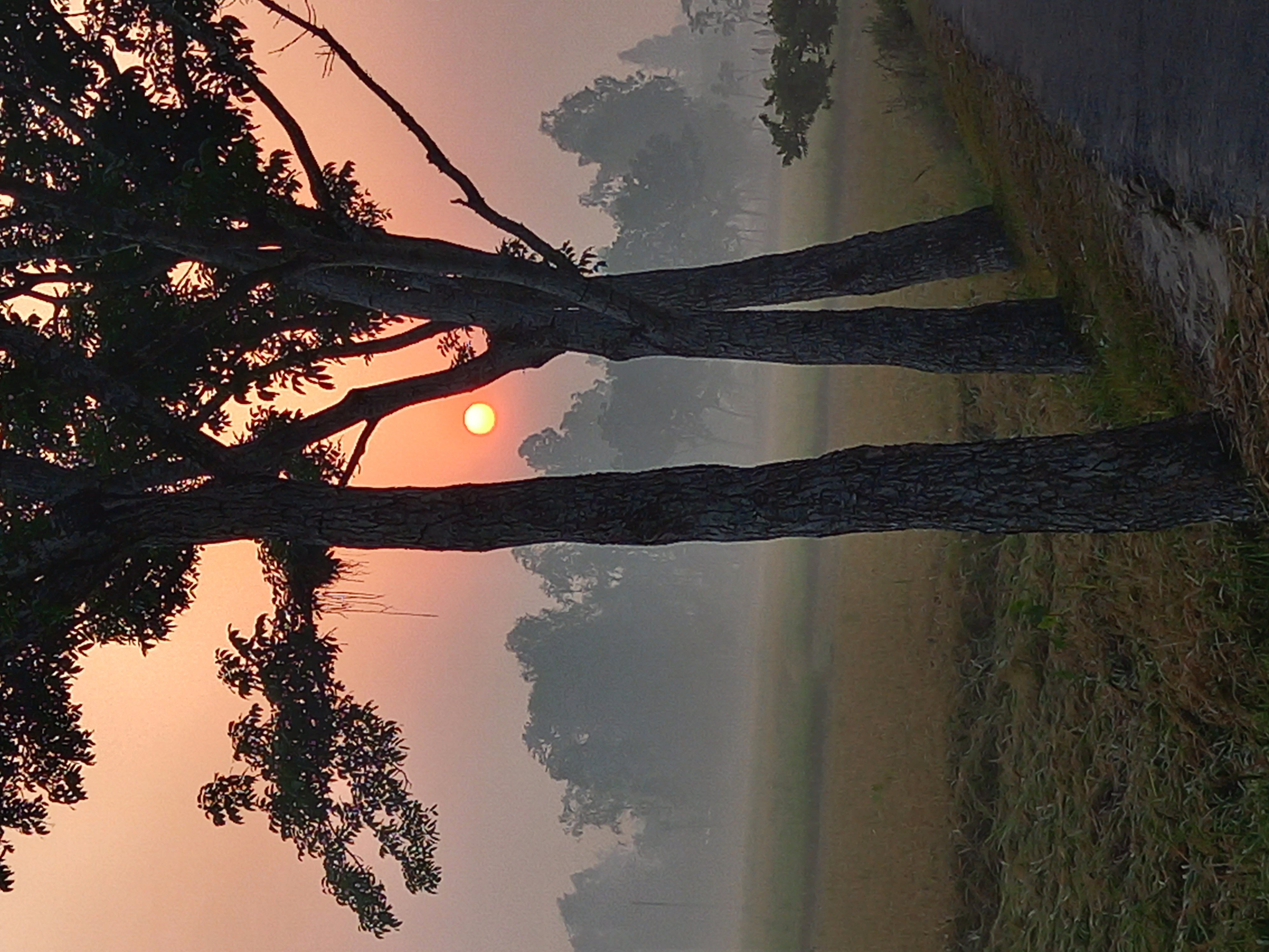 20230508_054712.jpg