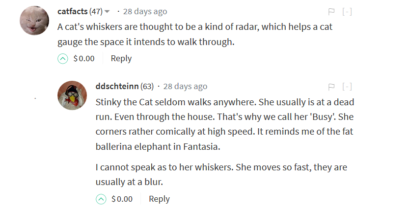 1.0 DONE Capture SwaggerCaturday.PNG