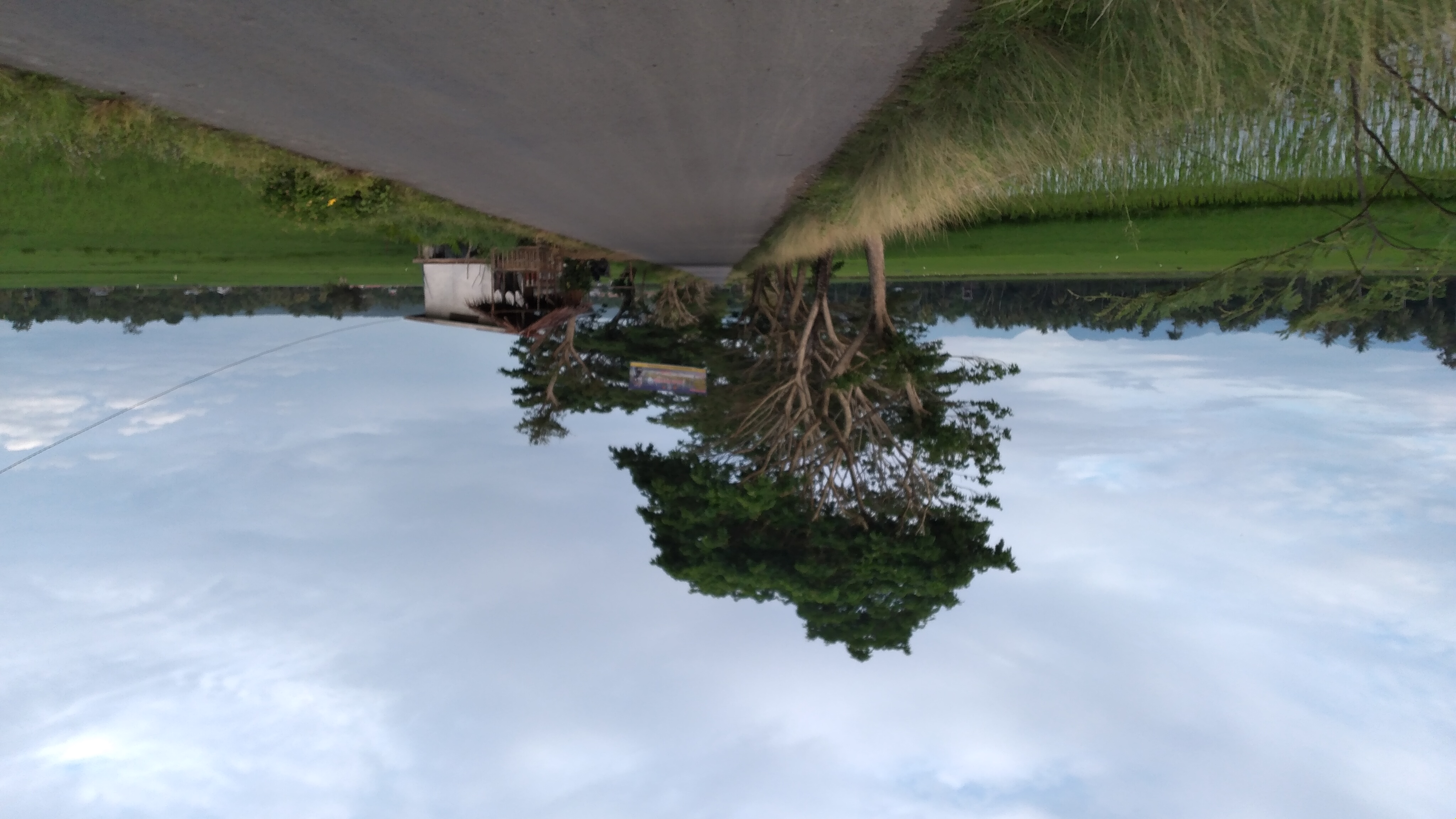 20220924_070525.jpg