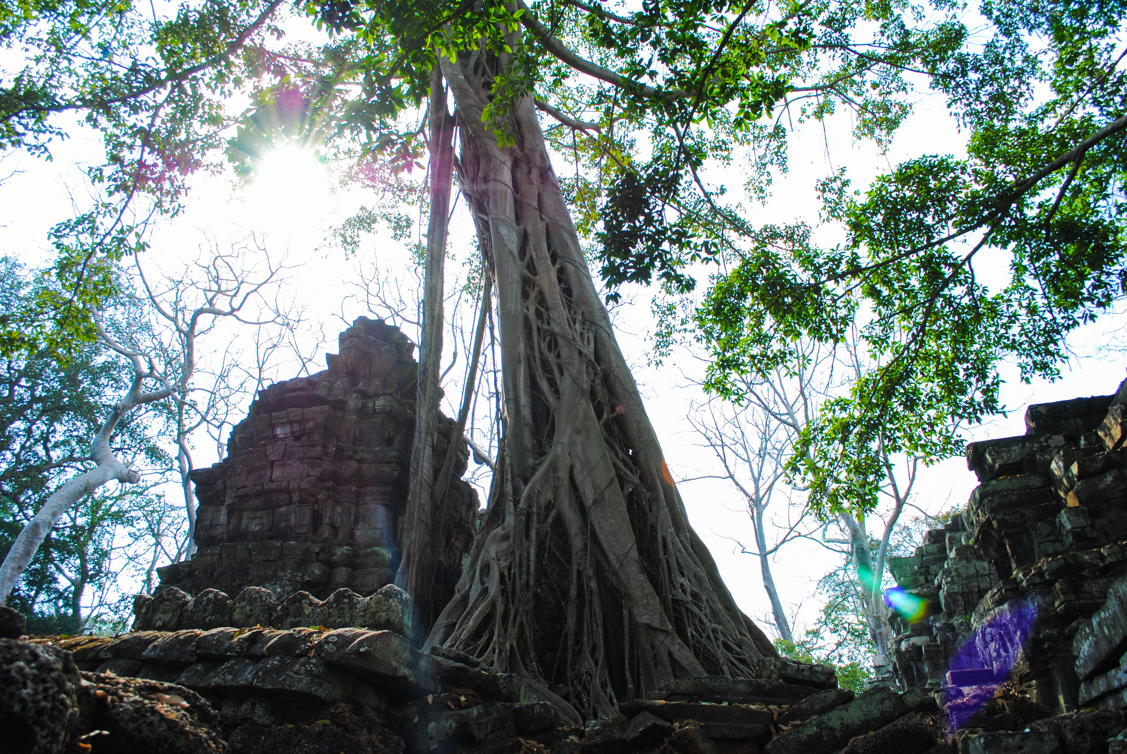 326 reworked 2 (1).jpeg