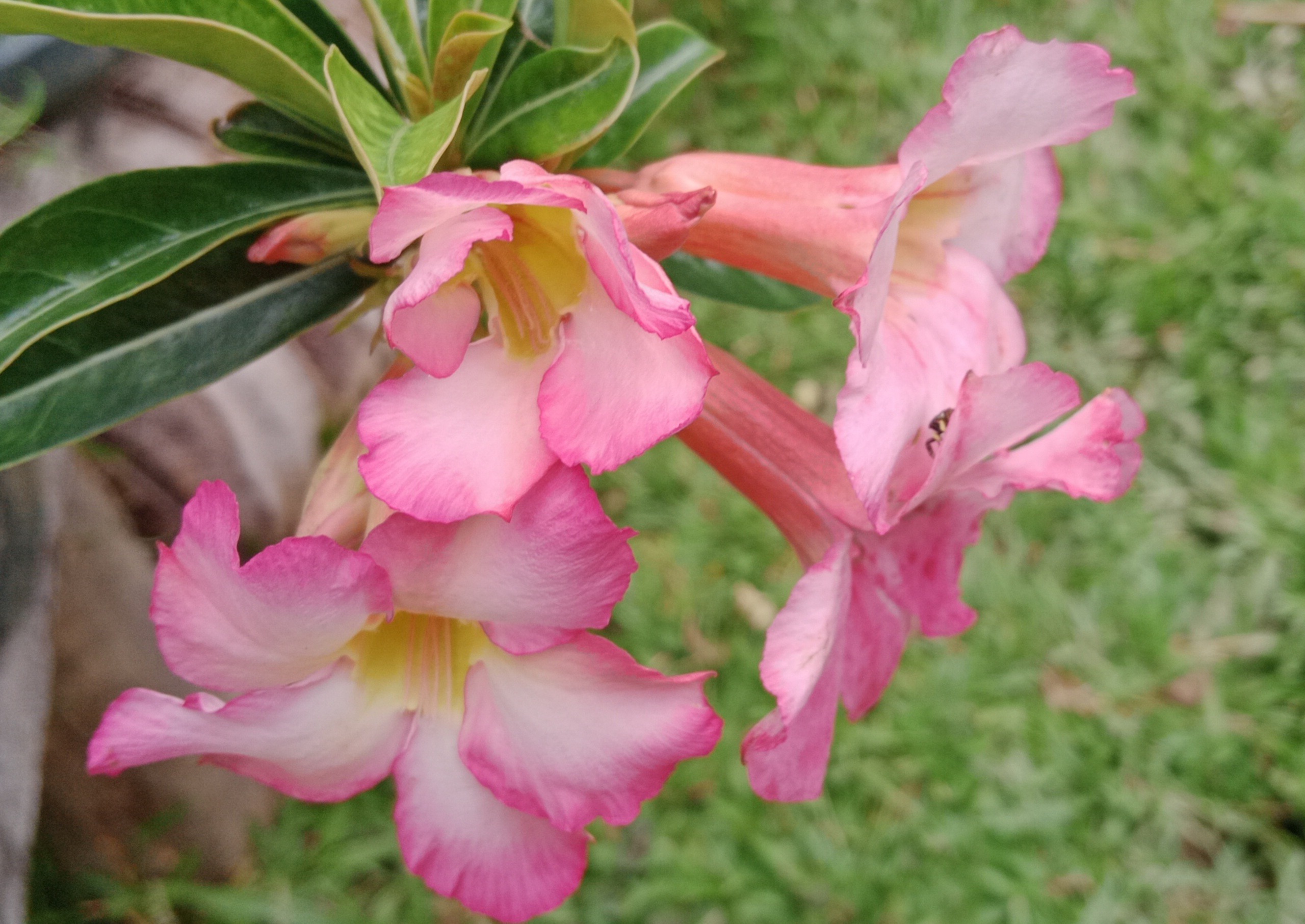 IMG_20220125_223425.jpg